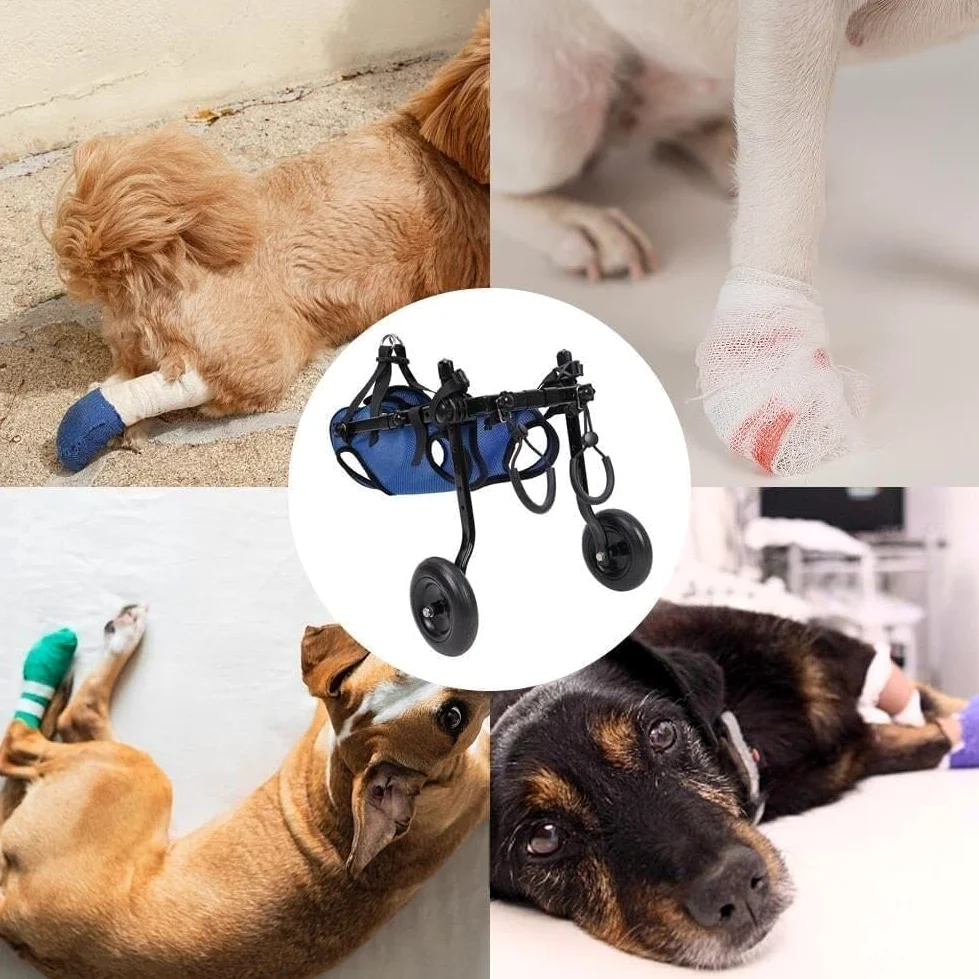 Sedia A Rotelle Per Cani Di Piccola Taglia, Carrello Per Cani Regolabile A 2 Ruote, Riabilitazione Delle Gambe, Strumenti Per Passeggiate Con Animali Domestici, Sedia A Rotelle Per Animali Domestici
