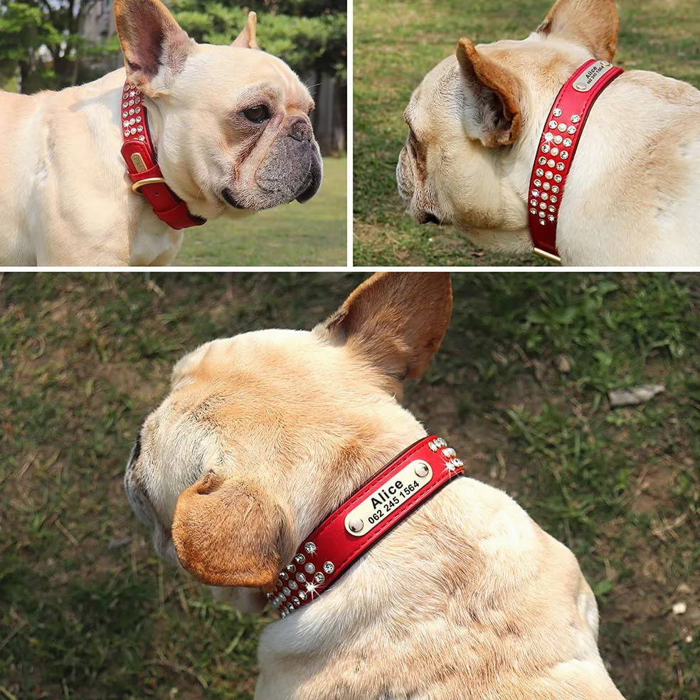 Collare di identificazione per Cani con Strass Bling Collana con collari per Cani Personalizzati con targhetta Collana Morbida Imbottita per Animali Domestici Incisione Gratuita S-2XL