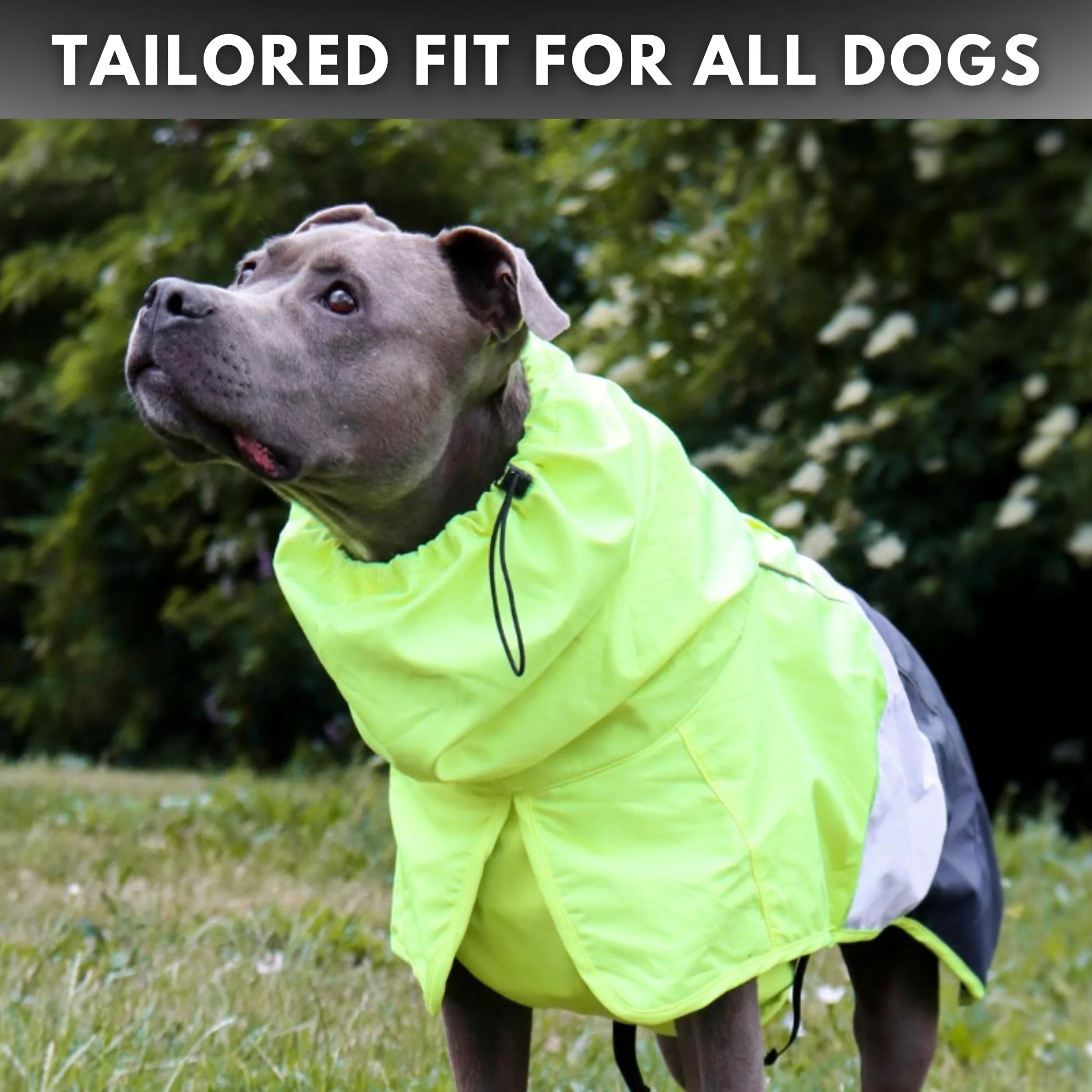 Spark Paws Impermeabile per cani, impermeabile con cappuccio, copertura completa | Rivestimento impermeabile completo con Pancia, riflettente, con fori coperti, per cani leggeri, piccoli, medi e grandi