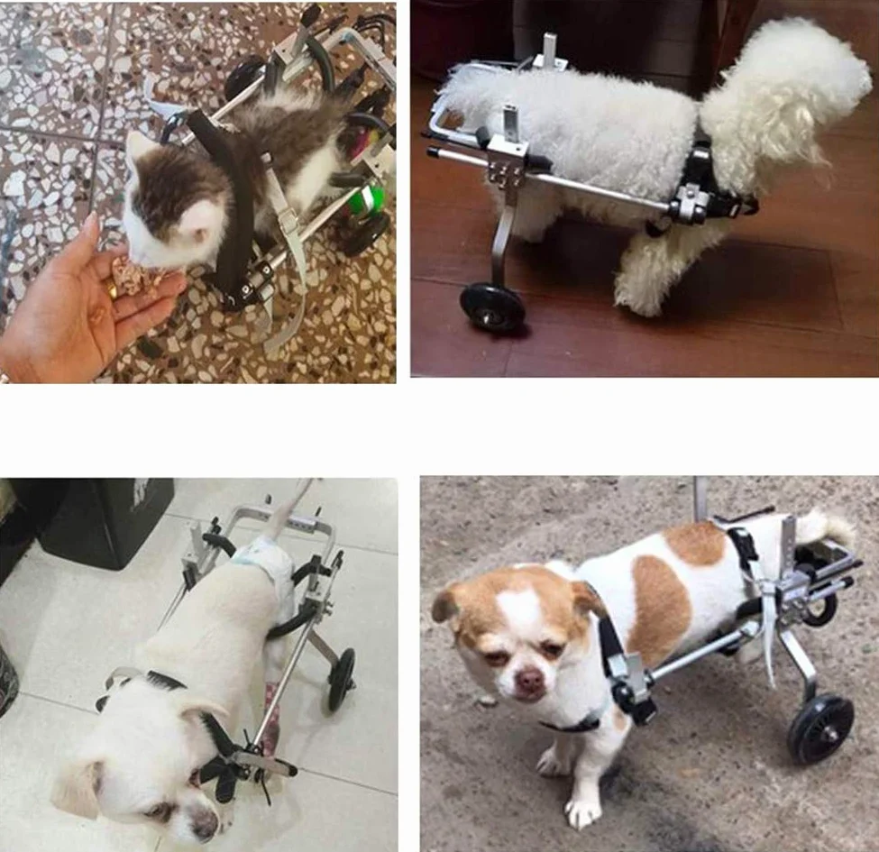 Carrellino per Cani Disabile Gatto Coniglio Cuccioli Ferito, per La Riabilitazione delle Zampe Posteriori E dei Piedi di Cani E Gatti Disabili di Peso Inferiore A 1.5 kg