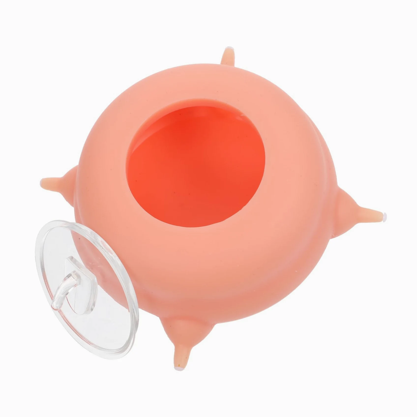 Biberon per Cuccioli e Gattini in Silicone, Rosa, Facile da Pulire, 1 Tettarella, per L’Allattamento dei Piccoli Animali | Facile da Pulire, per Piccoli Animali Domestici, Accessorio per Alimentazione e Allattamento