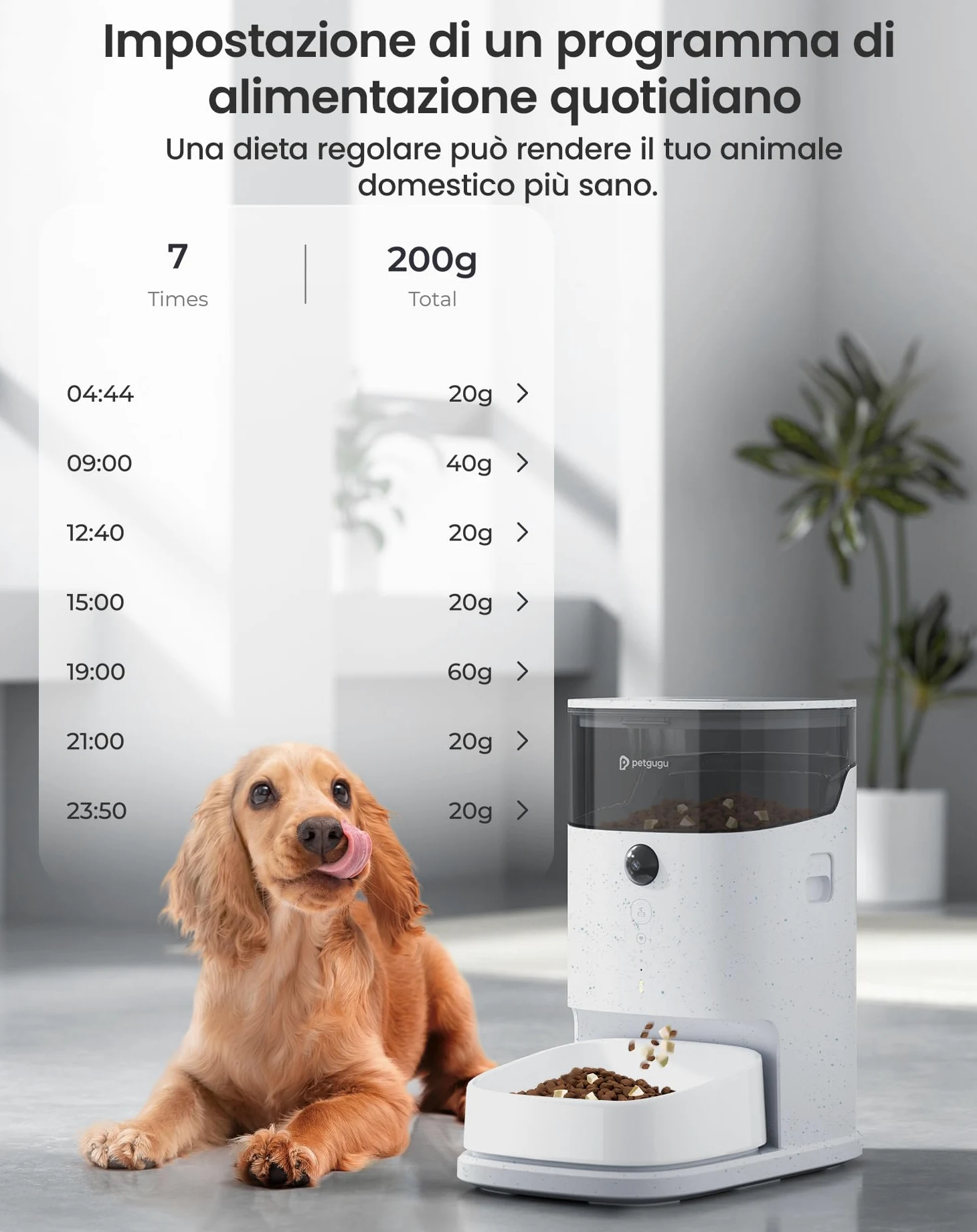 PETGUGU Distributore Automatico Cibo Gatti, Dispenser Crocchette Gatto con Timer, Distributore Smart con Controllo APP e Interazione Video/Voce, Ciotole in Ceramica Rimovibili per Gatti e Cani, PF2