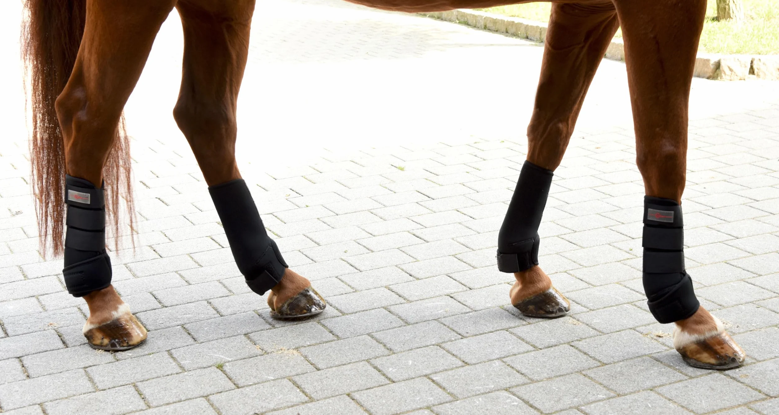 Kerbl - Ghette in caucciù sintetico, set da 4 pezzi, nero, 3 misure