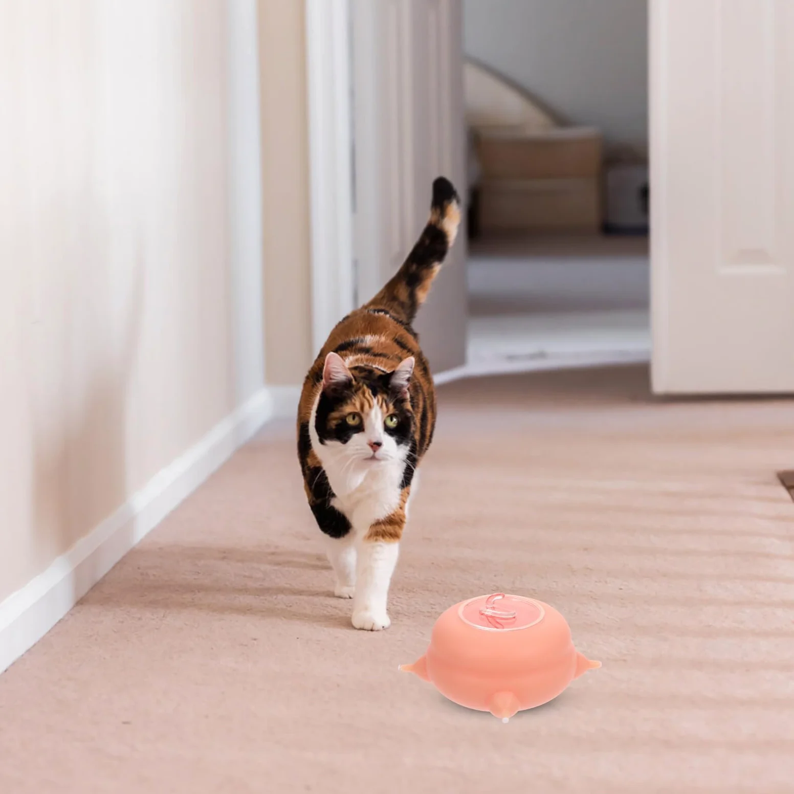 SHINEOFI Biberon in Silicone Rosa Leggero e Facile da Conservare per Alimentazione Cuccioli e Gattini Strumento Pratico per Allattamento Domestico