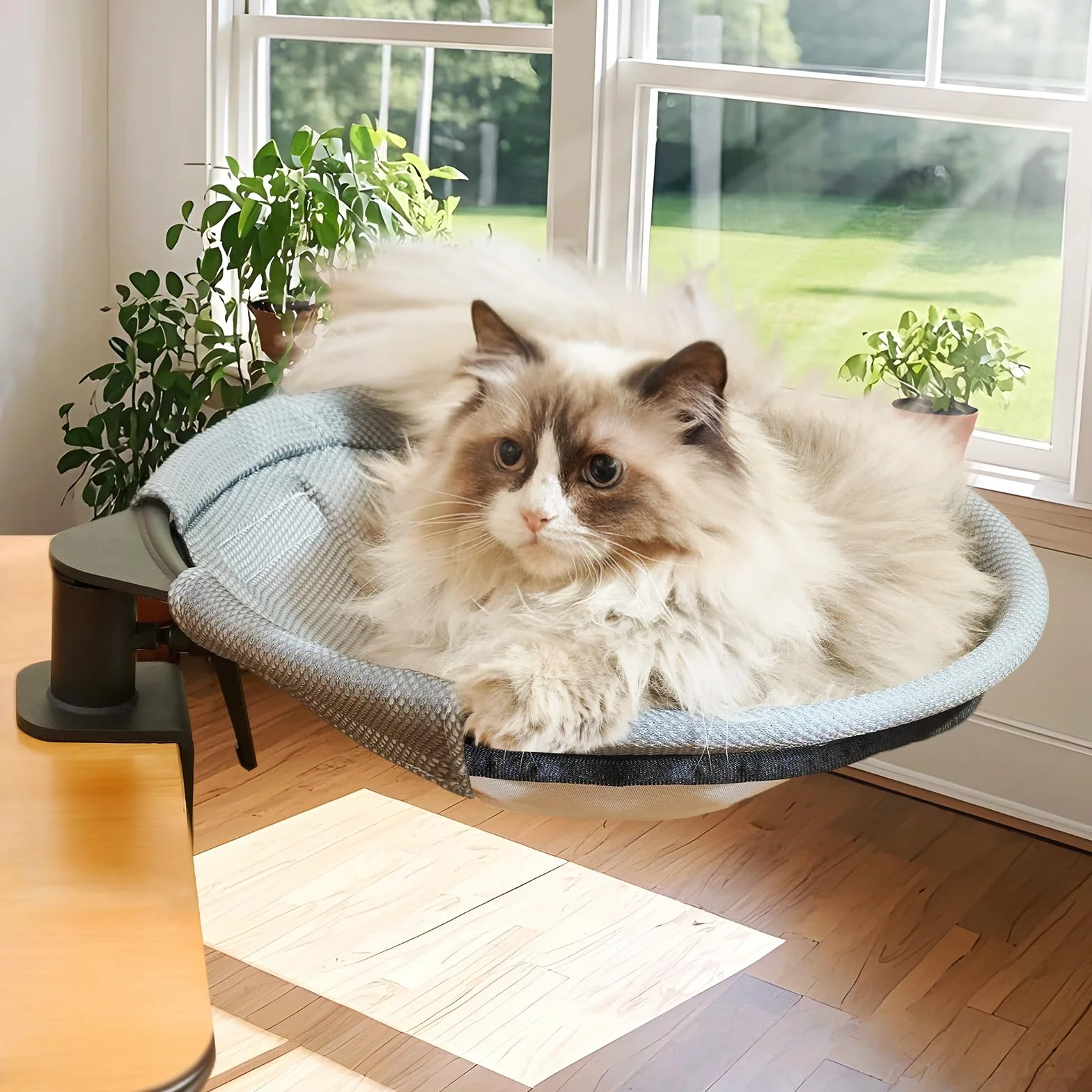 CATISM Lettino per Gatti da scrivania Rotazione a 360° Morbido Perfetto per Ufficio e Lavoro Amaca per Gatti da Interni con 2 tappetini per Animali Domestici Fino a 20 kg