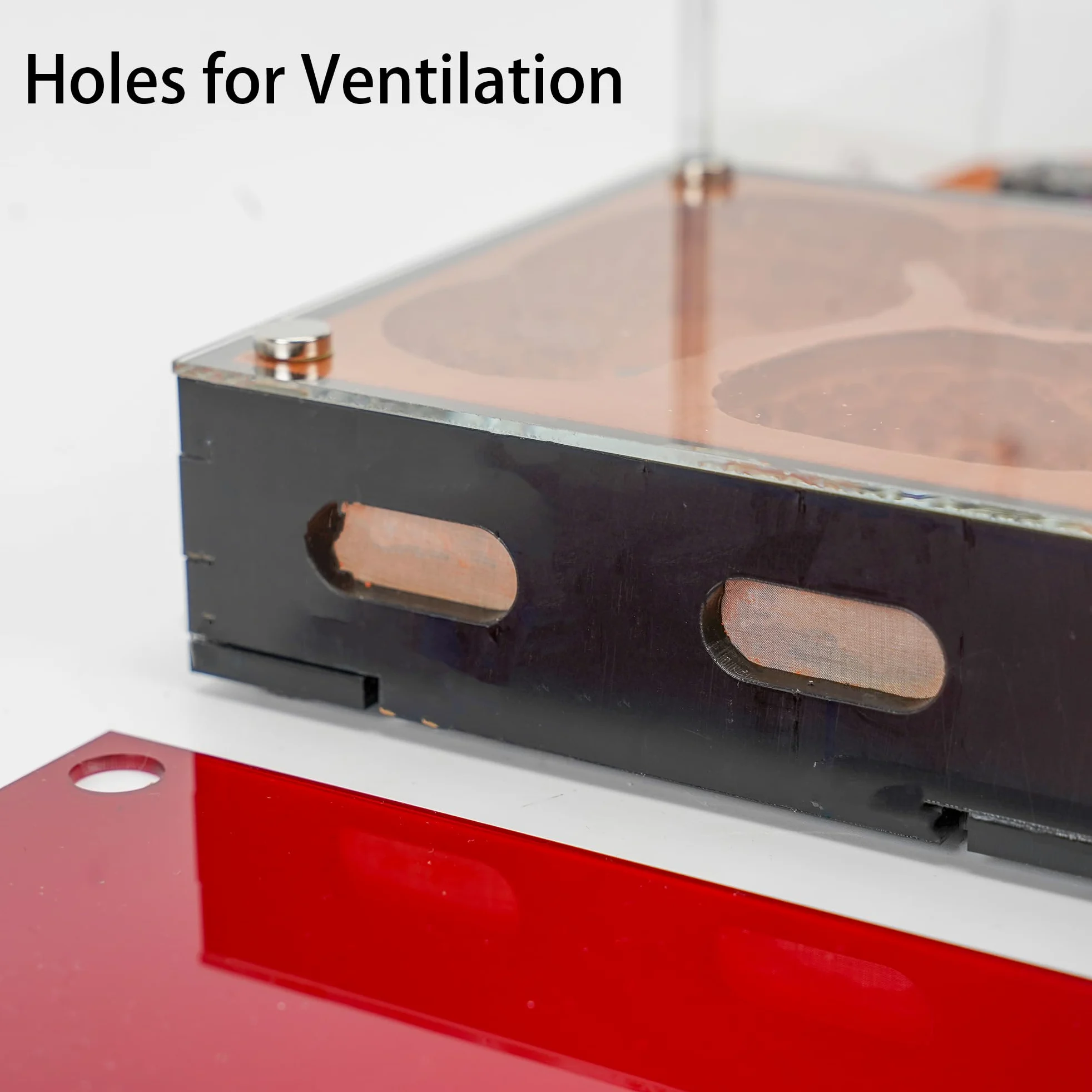 Formicaia ecologica modulare con coperture magnetiche in vetro, controllo umidità, ventilazione e porte di espansione, perfetto per gli appassionati di formiche (27,0 x 25,0 x 13,0 cm)