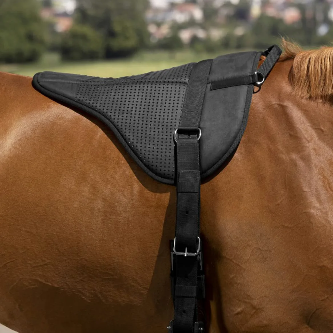 Equithème Bareback Pad Norton Black in Size: Full (EU). - Nero - Full