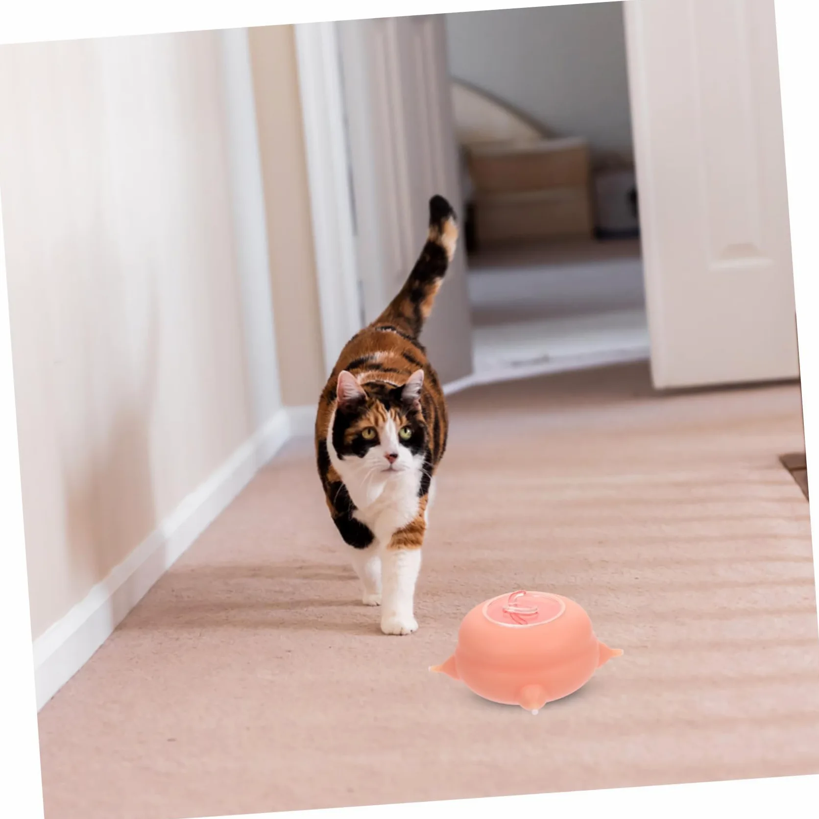Biberon per Cuccioli in Silicone, Strumento per Alimentazione Rosa | Resistente alle Alte Temperature, Facile da Riporre, Accessorio Domestico per Gatti Piccoli e Cani Accessori