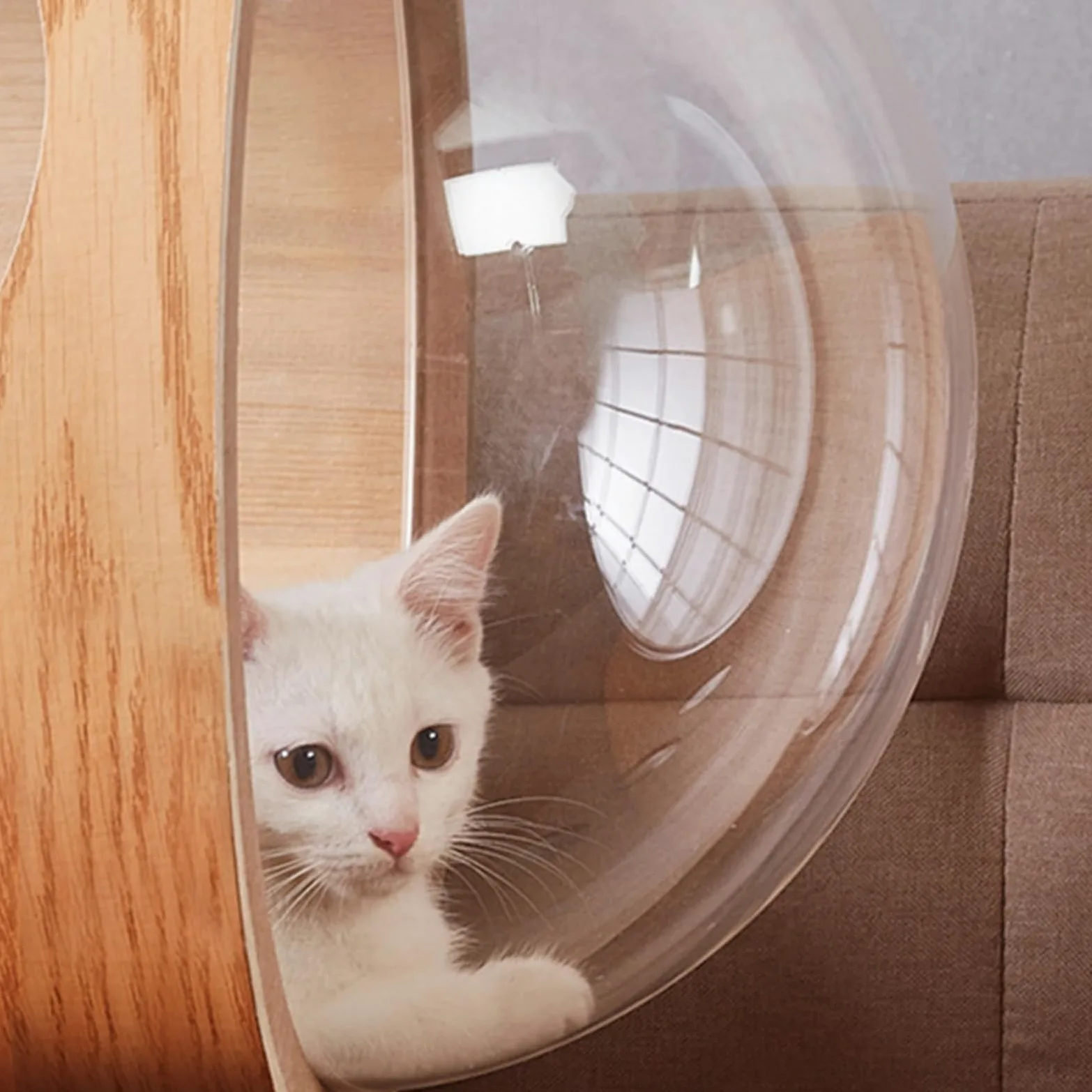 Oblò per Animali Domestici, Copertura A Cupola For Letto Capsula Trasparente Space Clear Finestra, Gatti, Fai Da Te, Di Ricambio, Lettiera, Mobile, Portatile(30cm)