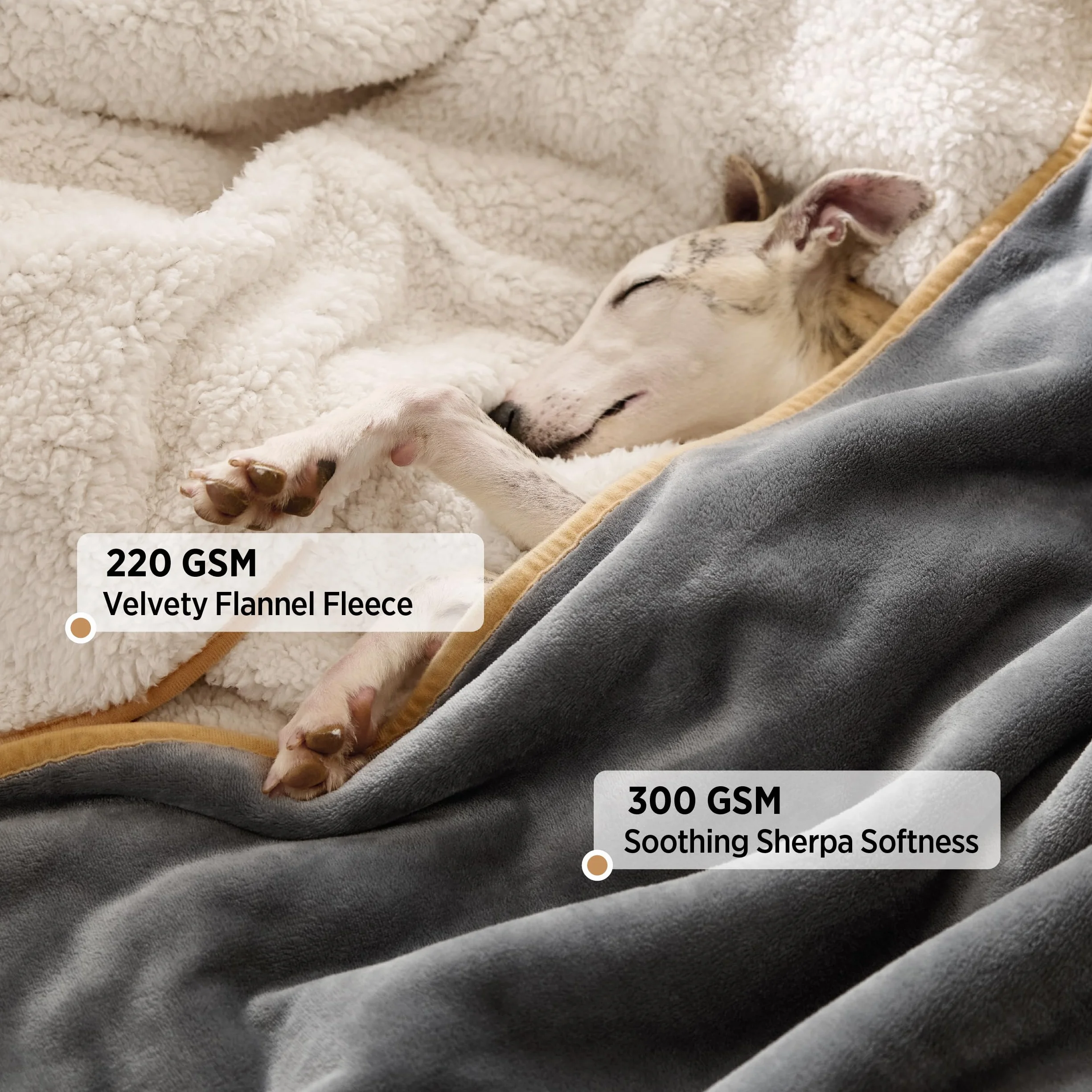 Lesure - Coperta impermeabile per cani grandi, 274x218 cm, lavabile, esterna, in pile, divano, grigio
