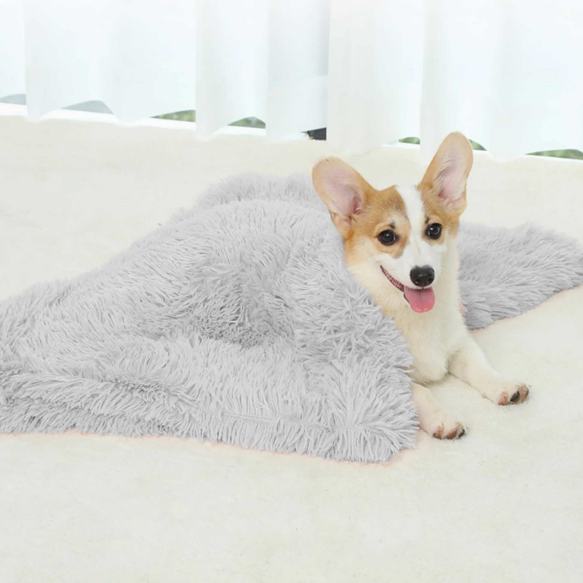 Coperta calda per animali domestici, lavabile in lavatrice, coperta per cani e animali domestici, protezione per mobili, ideale per divani, seggiolini auto, interni (grigio scuro, 2 pezzi, 127