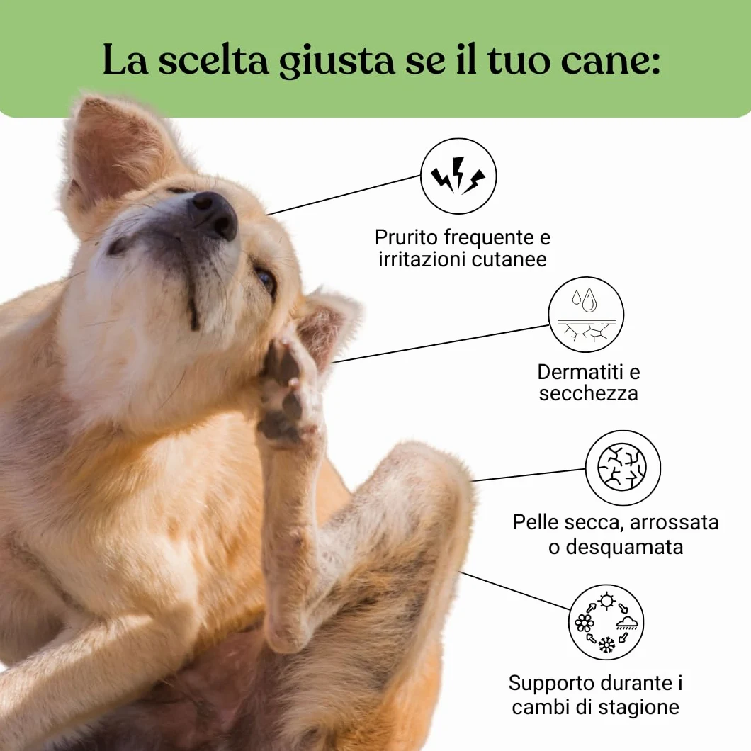 Bau Rimedio Dermatite Cane Anti-Prurito Allergie Stagionali, Alleviano il Prurito Cane, Ingredienti Naturali per la Salute della Pelle del Cane, Ideale per Cani con Pelle Arrossata -60cps