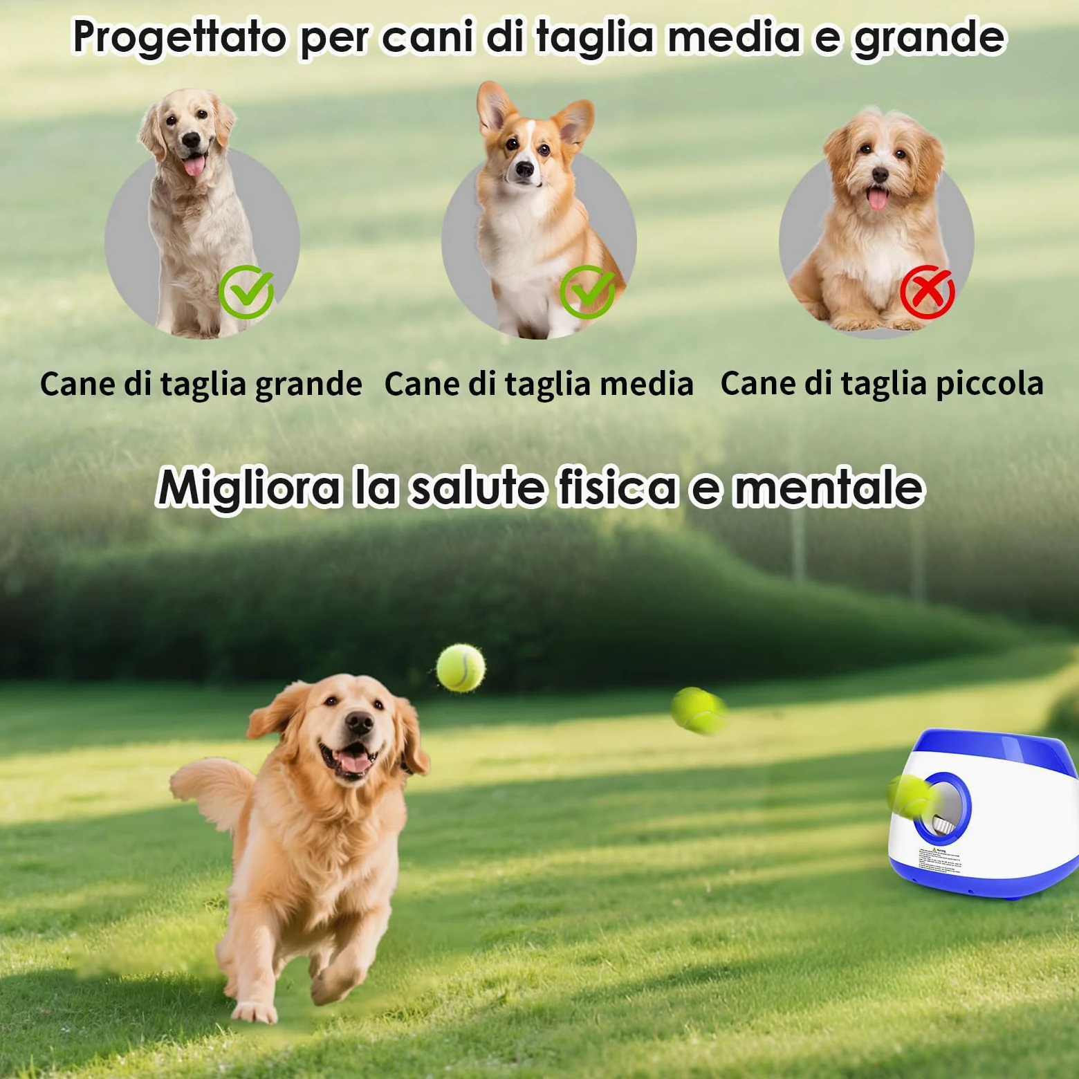 Lancia Palline per Cani Automatica Interattiva Spara Palline per Cani di Taglia Grande e Media, Palline da Tennis Incluse