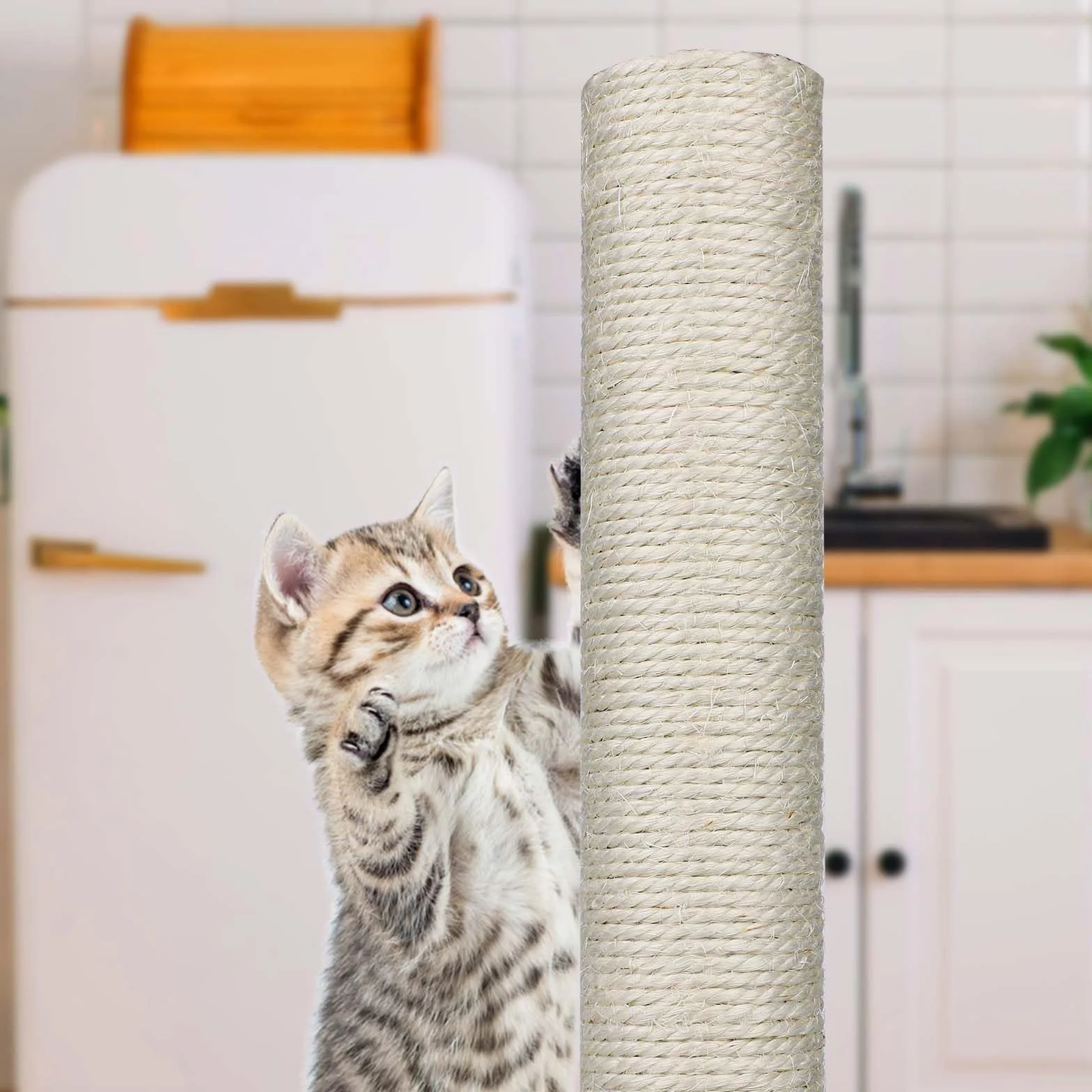 4 Pezzi Tiragraffi di Ricambio, Pezzi di Ricambio Tiragraffi per Gatti da 40 cm con Viti M8 Tiragraffi per Gatti Sisal per Gatti Torre per Albero per Gatti