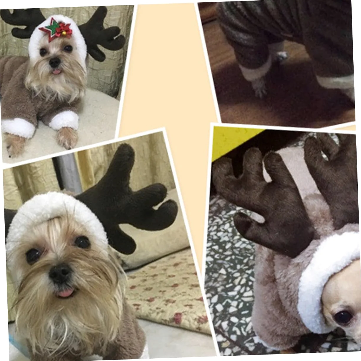 BESPORTBLE 3 Pz vestiti invernali per animali domestici cappotto cane piccolo cappottino cane piccolo abito felpe invernali felpe per cani panno per cani giacca con cappello