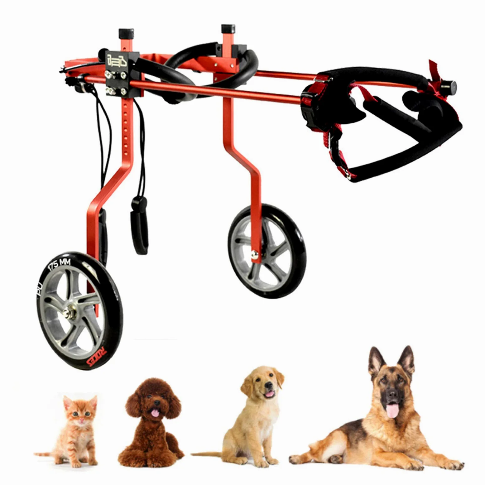 Sedia a Rotelle per Cani Disabile Regolabile Carrellino per Cani, Peso 1~60 kg, Riabilitazione per Gambe Posteriori/Zampa Posteriore, per Cane e Gatto, 2 Ruote, Dog Cat Wheelchair