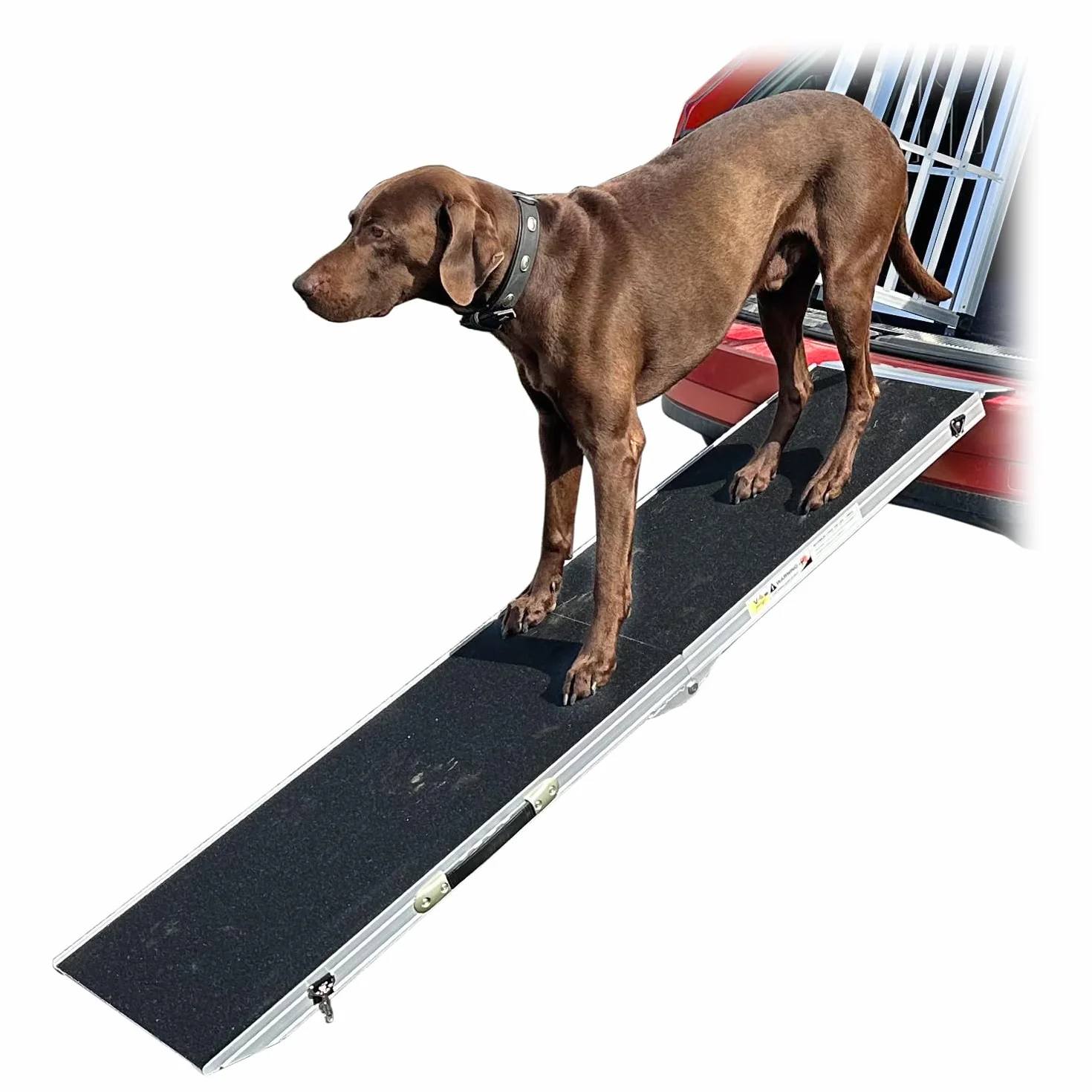 Rampa per Cani Animale Pieghevole Auto Casa 4 Taglie petigi, lunghezza:213 cm