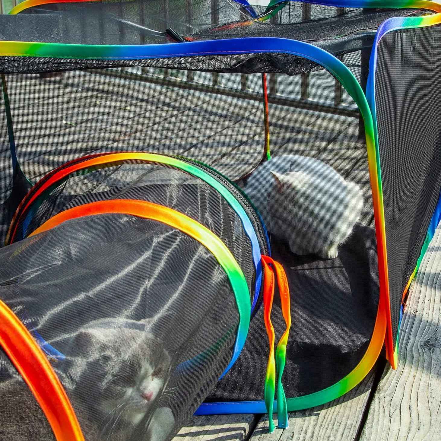 Grande Tunnel per Animali Domestici Pieghevole da Esterno - Tenda Portatile per Gatti, Conigli, Cuccioli con Recinzioni