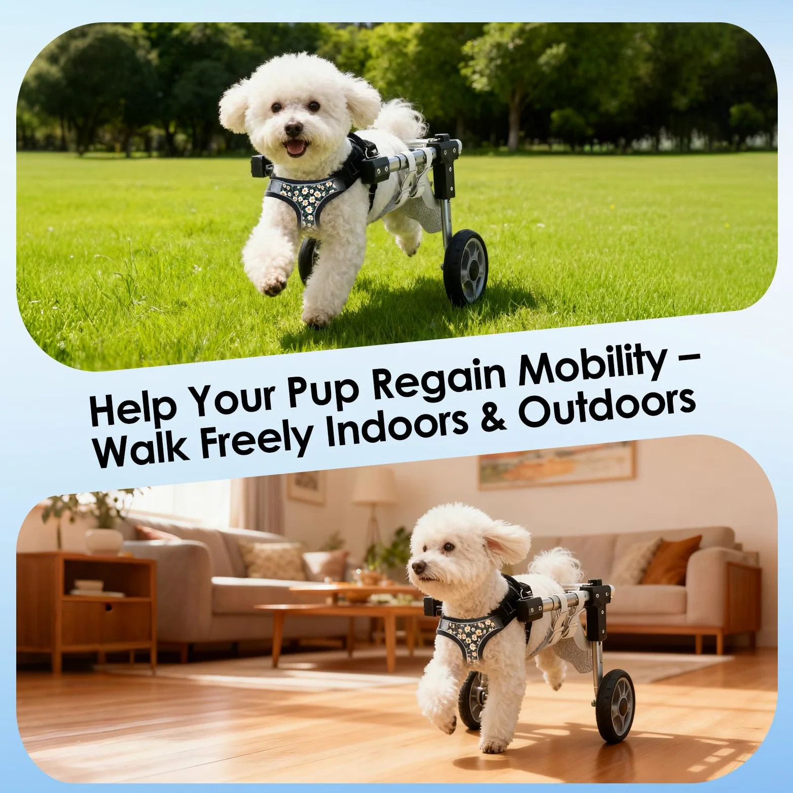 Sedia a Rotelle per Animali Domestici in Alluminio Regolabile, Carrellino per Cani Disabili Feriti Zampe Posteriori, Ruote Silenziose per Cani 2-7kg, Materiale ABS Resistente per Riabilitazione