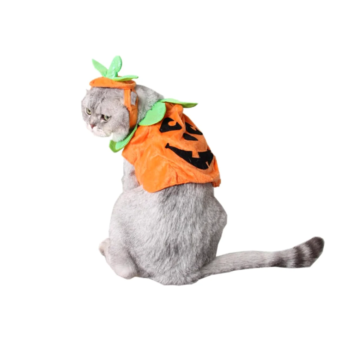 Beavorty 2 Pezzi Costumi Di Zucca Per Cani Cappotto Per Gatti Gattino Ornamento Cucciolo Di Zucca Per Animali Domestici Vestito Da Cappello Da Strega Cappello Arancione Costume Da
