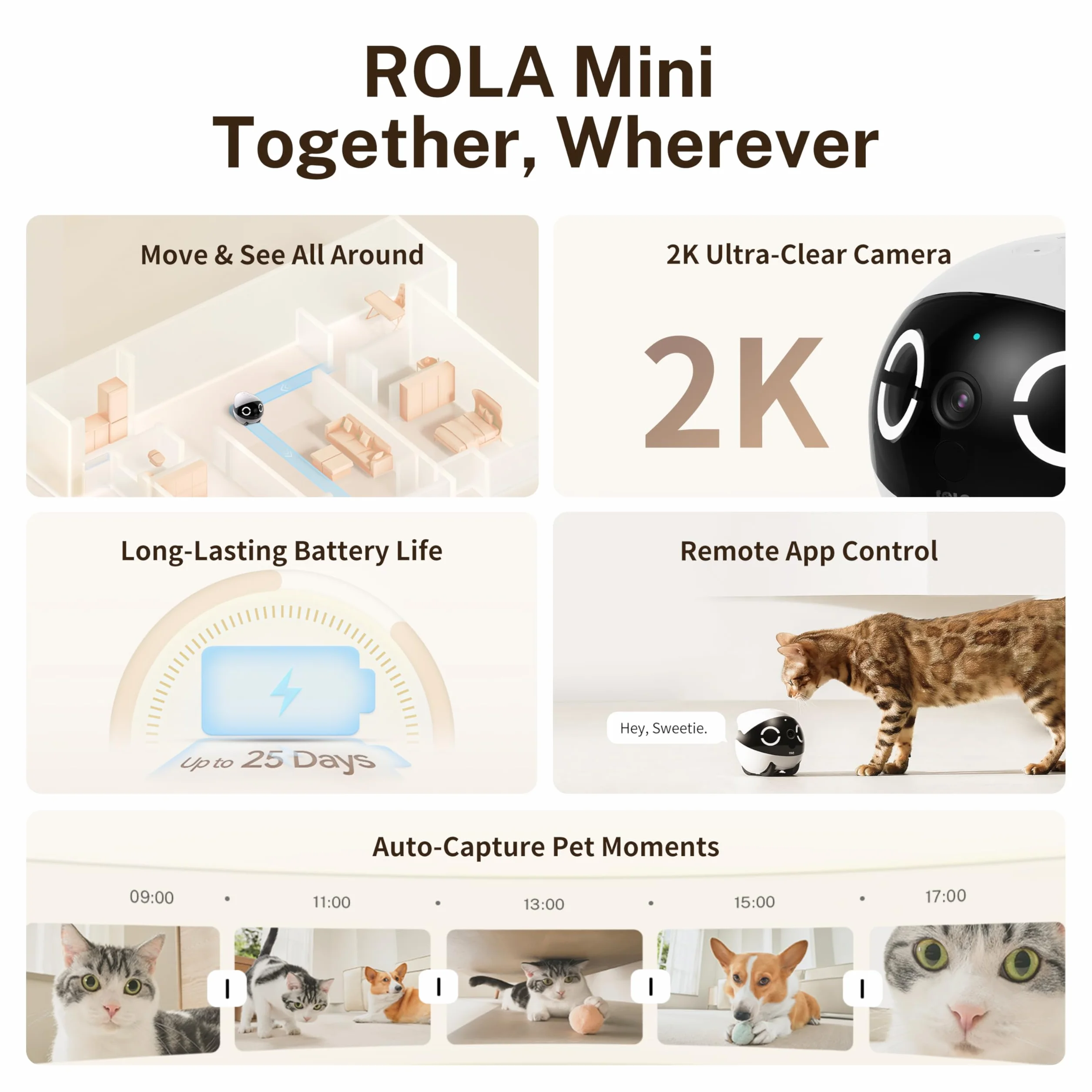 Enabot ROLA Mini FamilyBot – Robot Telecamera Animali 2K, 25 Giorni Batteria, Senza Stazione Ricarica, Visione Notturna, Rilevamento Movimento – Gatti e Cani