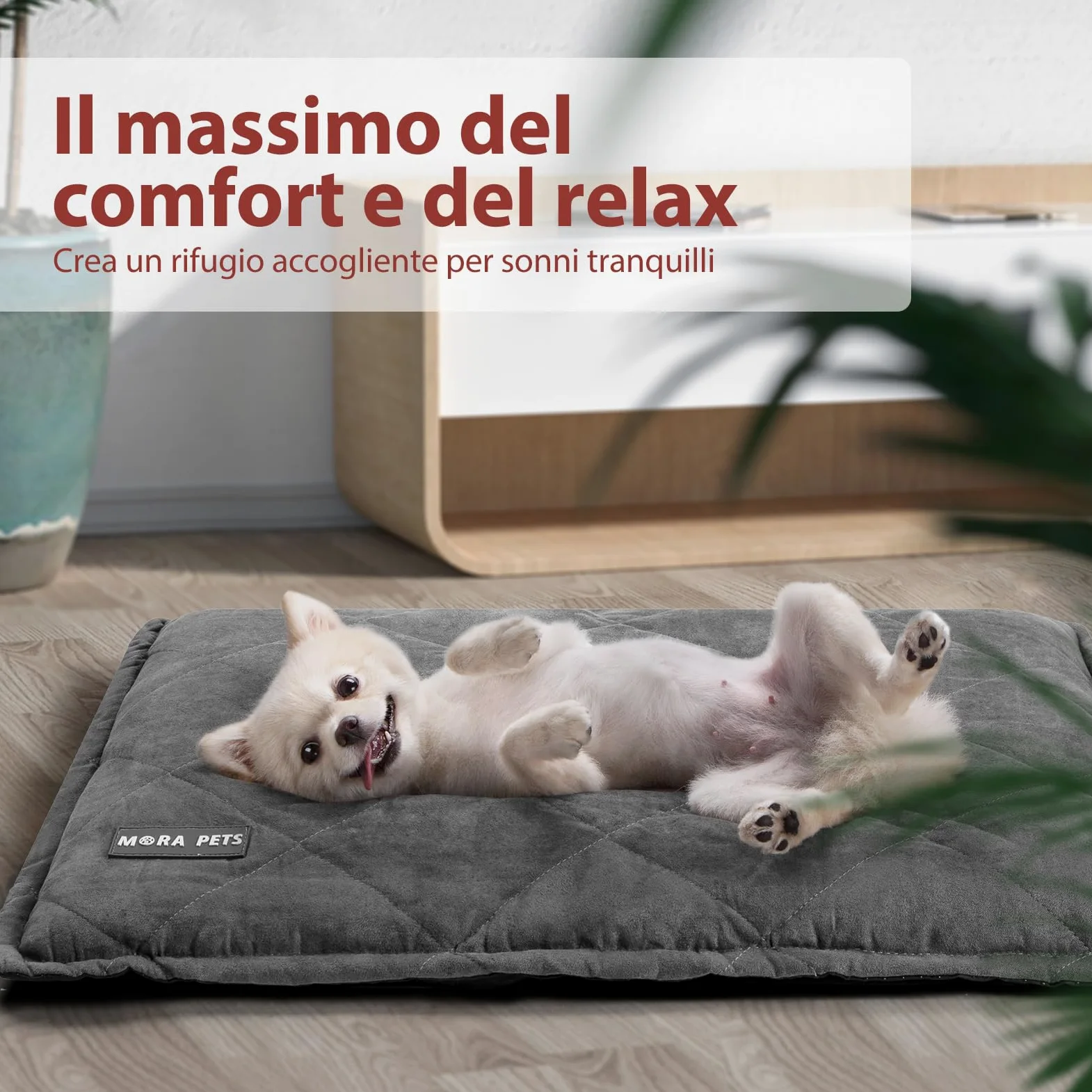 Mora Pets Tappeto riscaldante gatto Coperta autoriscaldante per gatti e cani Tappetino riscaldante Senza elettricità e batterie Coperta termica Rimovibile e Lavabile 76 x 52 cm