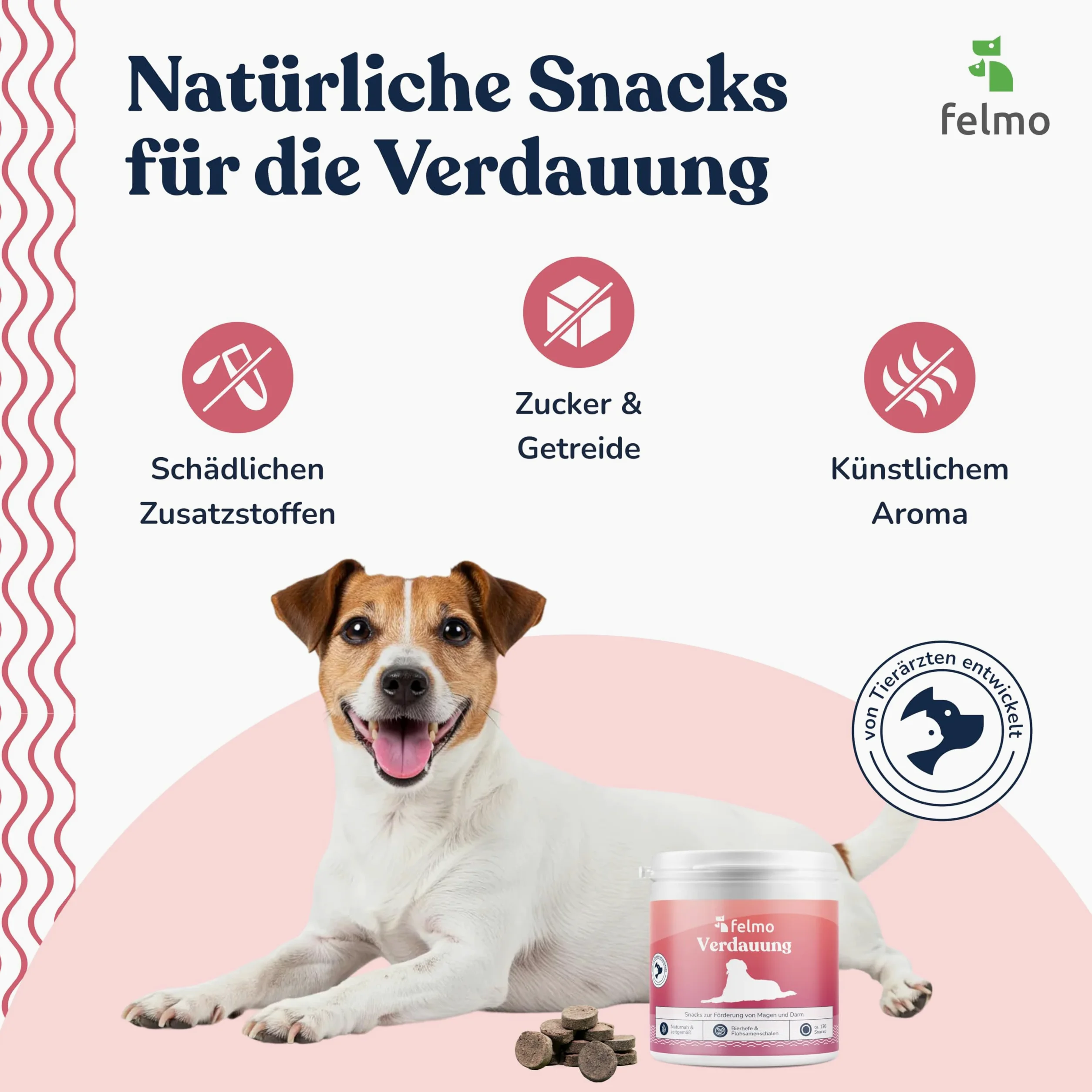 felmo Snack digestivo per cani (325 g) con lievito di birra e grasso completo per insetti | Snack prebiotici per l'equilibrio intestinale, la salute della pelle e dell'immunità, senza cereali, made in Germany