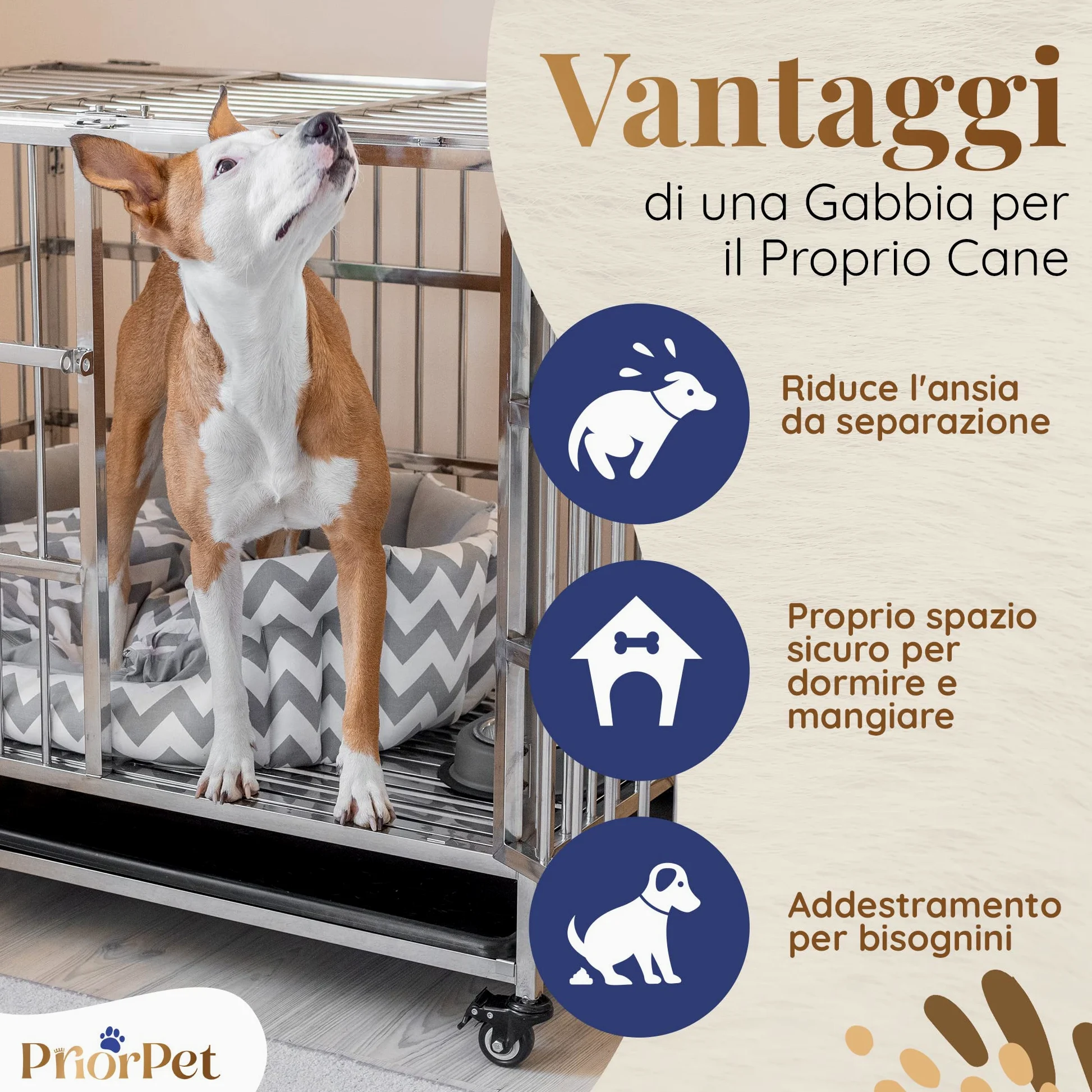 PRIORPET Solida Gabbia per Cani - Design Pieghevole e Facile da Montare per Un Agevole Trasporto - Doppia Serratura per Una Maggiore Sicurezza - Vassoio Rimovibile per Una Rapida Pulizia