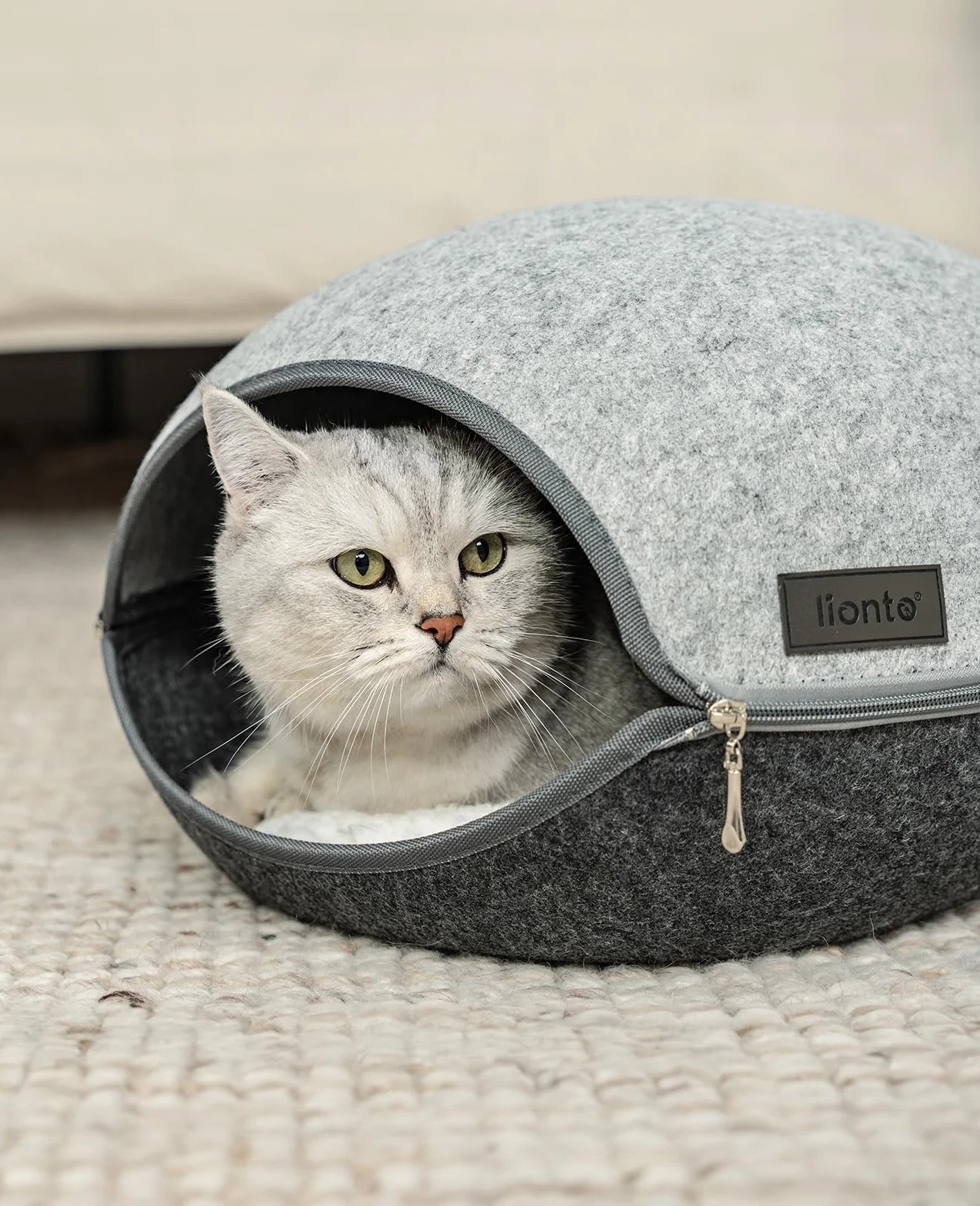 lionto Cuccia per gatti in feltro resistente con cerniera, tana accogliente 46x38x24 cm, letto moderno e confortevole con cuscino morbido e lavabile, grigio