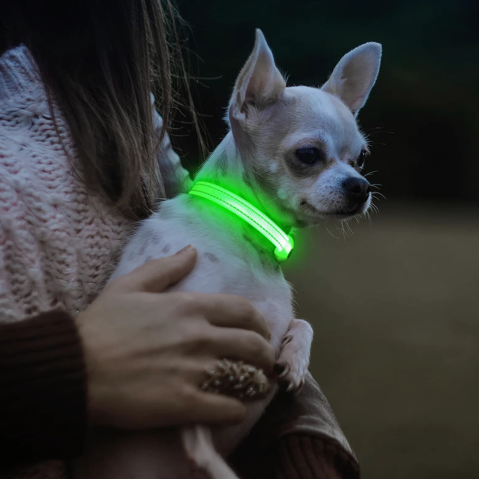 Visinite Collare luminoso per cani di piccole dimensioni, collare LED ricaricabile, completamente regolabile, collare luminoso al buio con luci per cani per passeggiare di notte, verde