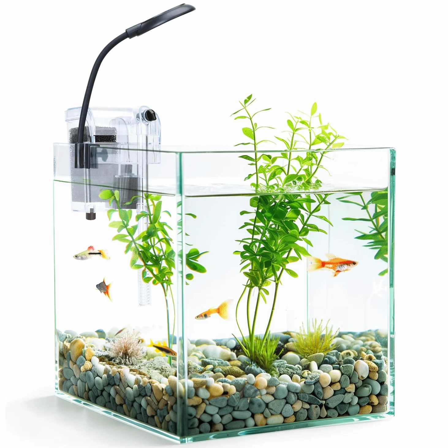 Nobleza - 27L Piccolo Acquario Completo con Illuminazione a LED e Sistema di Filtraggio Integrato, Vasche per Pesci