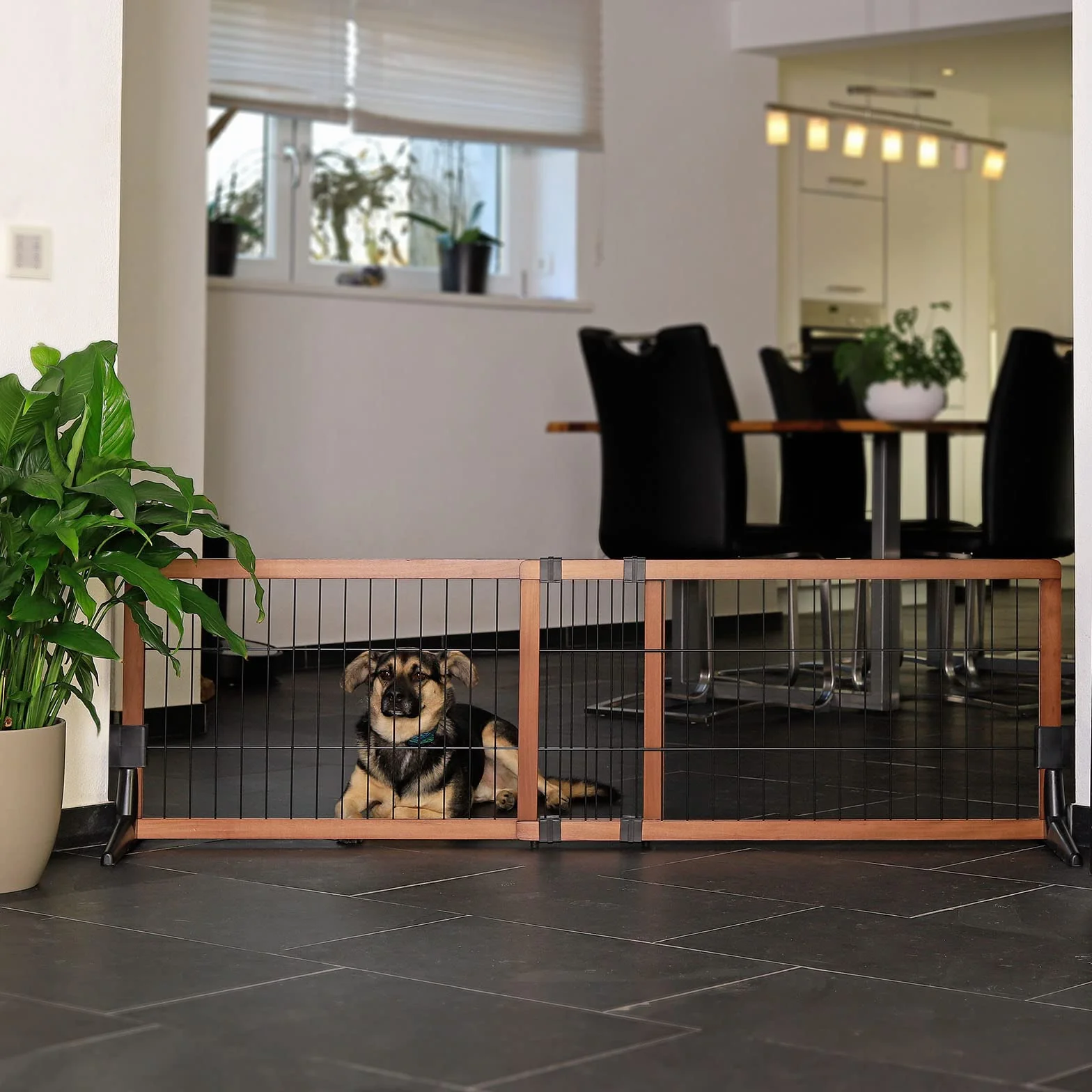lionto Cancelletto cani barriera protettiva cani barriera animali barriera cani Altezza 50 cm