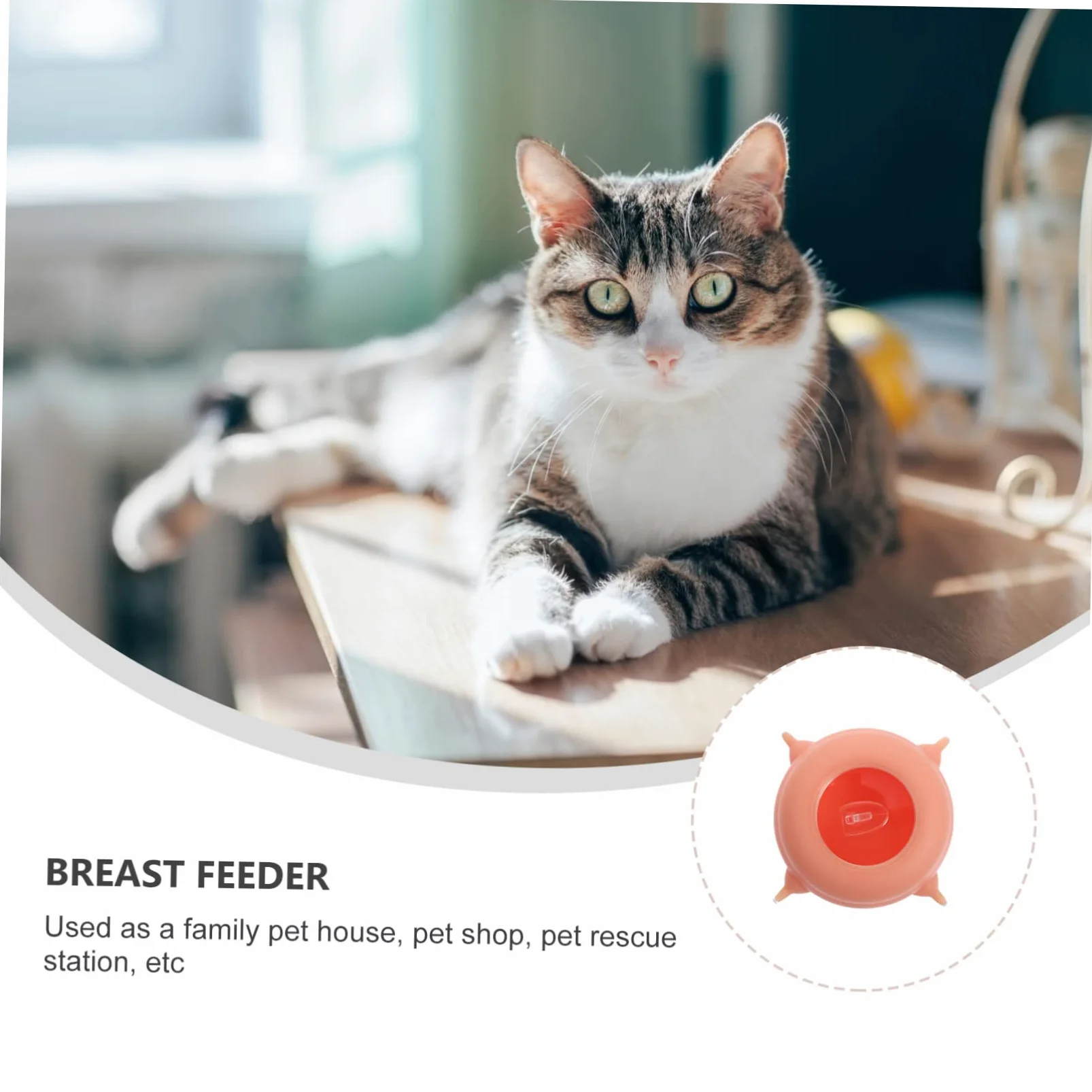Biberon per Animali Domestici in Silicone Resistente ad Alta Temperatura Tettarelle Multiuso per Cuccioli Gattini Accessorio per Allattamento Facile da Pulire