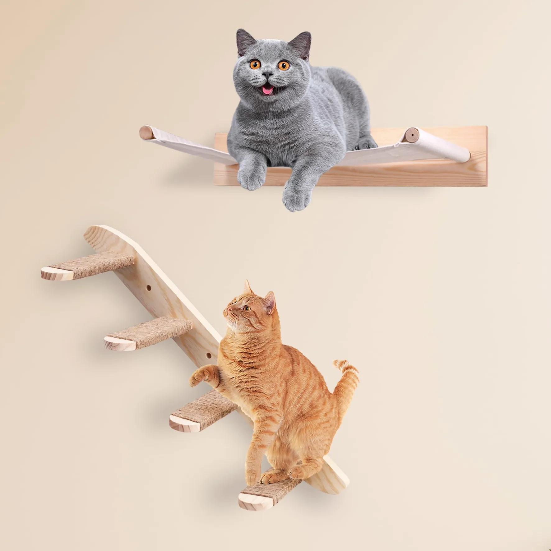 Parete di Arrampicata e Amaca per Gatti - Set 3 Pezzi per la Maggior Parte dei Gattini