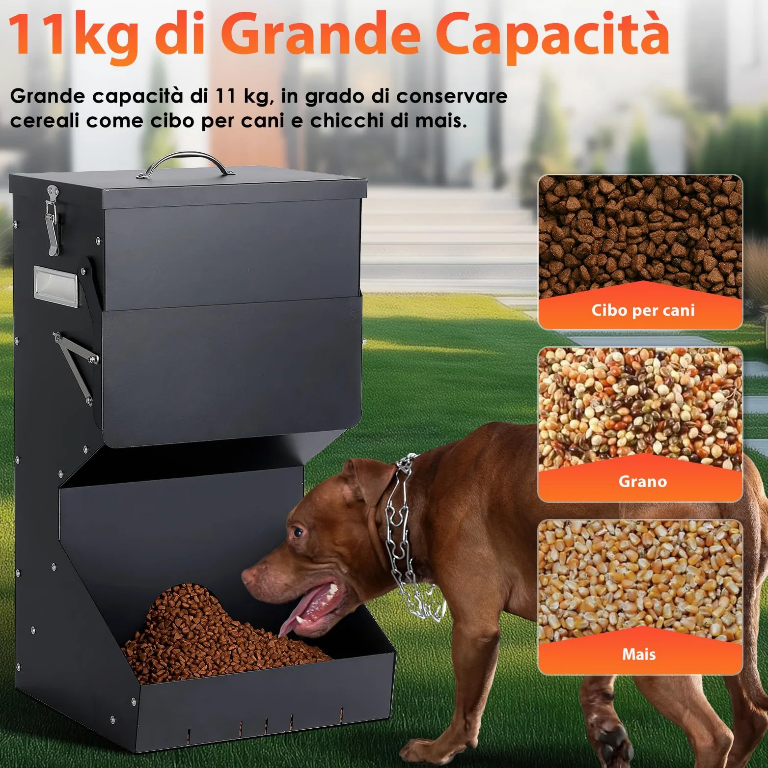 Alimentazione Automatica per Cani all'aperto appeso cibo per animali domestici di razza grande 11kg, mangiatoia automatica per cani in metallo auto-alimentazione cibo per cani