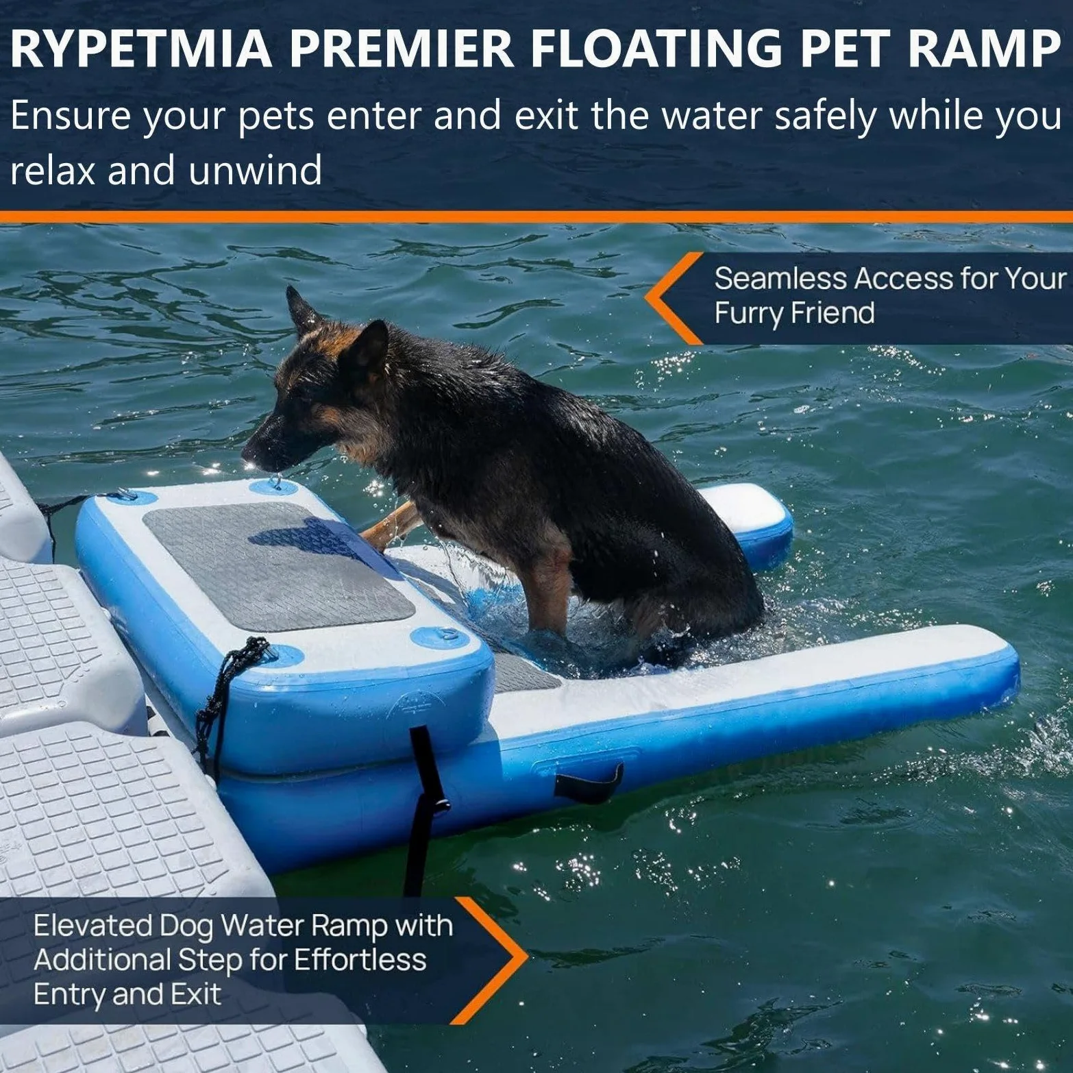 Scaletta portatile per cani con supporto antiscivolo in EVA per un'uscita sicura da barca, piscina, bacino, lago