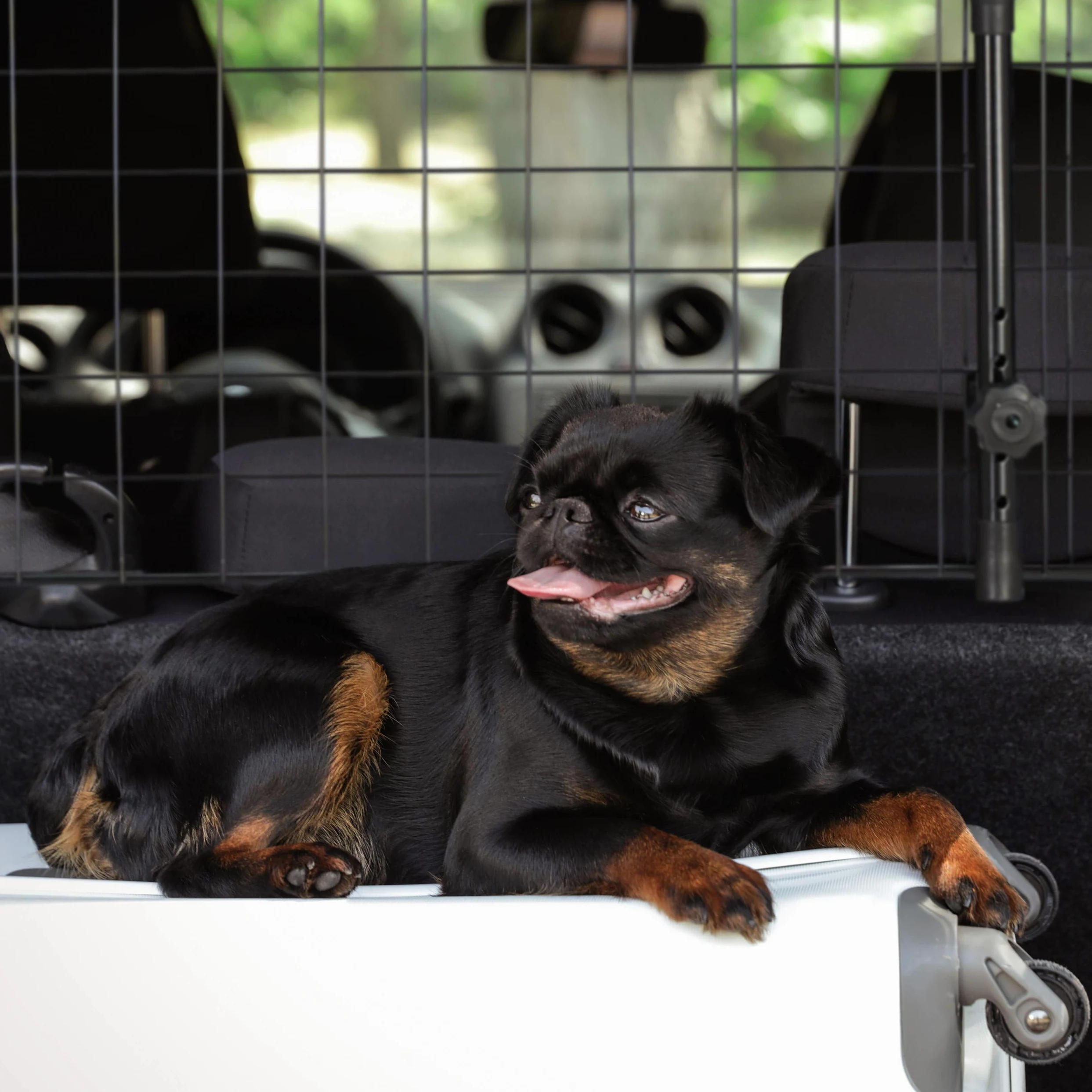 Relaxdays Griglia Auto per Cani, Grata Universale, Larghezza Regolabile, Divisore Bagagliaio, HxL: 32 x 92-136 cm, Nero