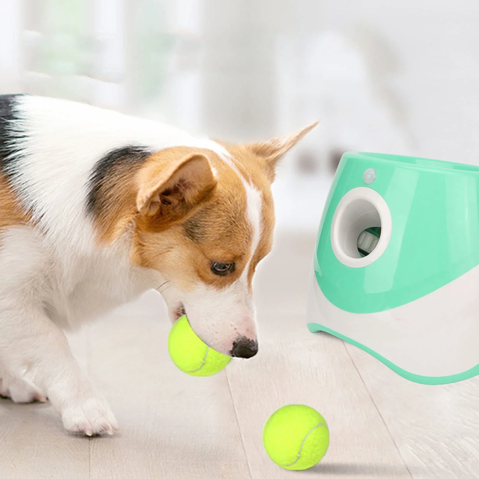 Lanciatore Automatico di Palline per Cani Lanciatore Interattivo di Palline per Animali Domestici Ricaricabile in 3 modalità per Interni Ed Esterni Verde