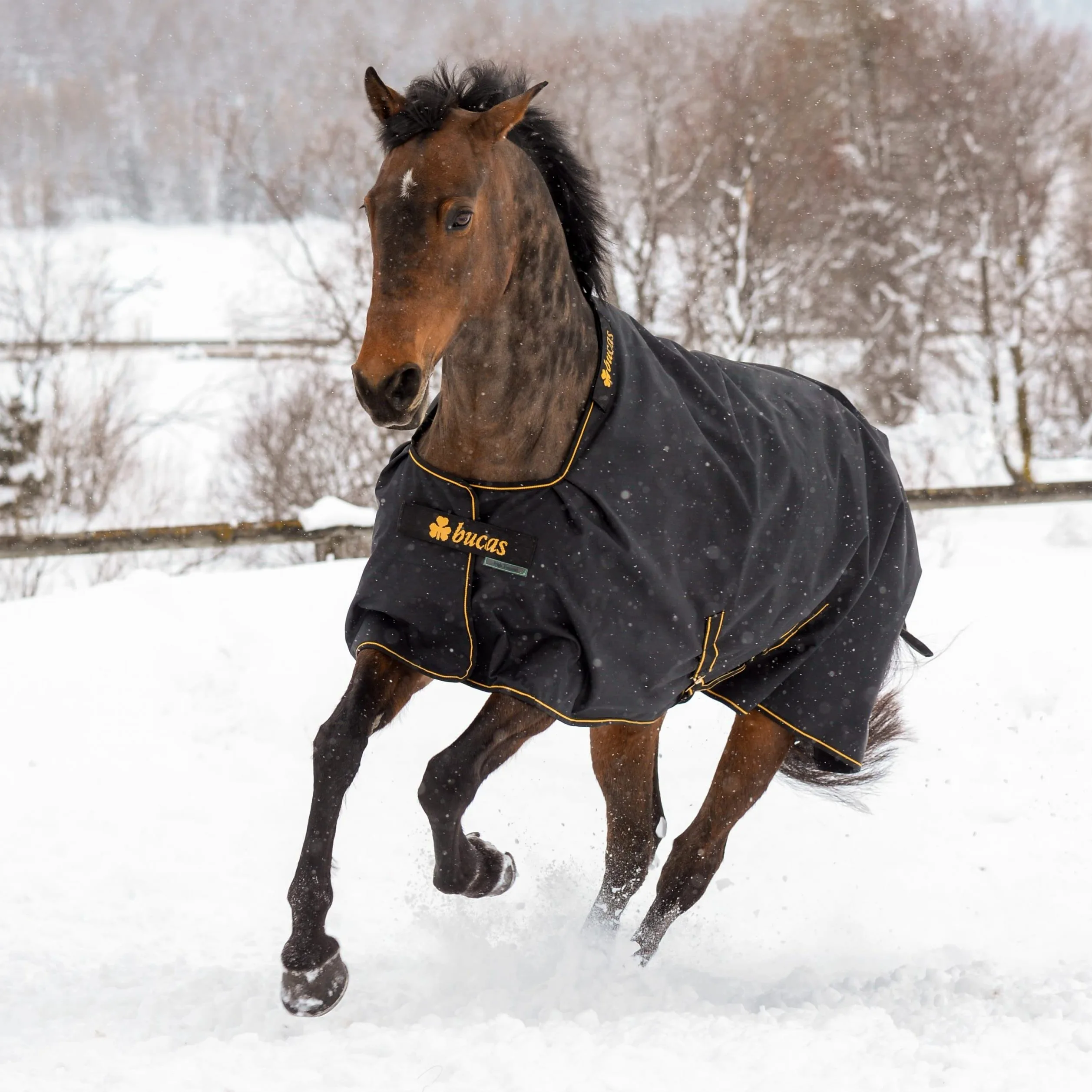 Bucas IrishTurnout - Coperta per cavallo, extra 300 g, 130 SW/Gold