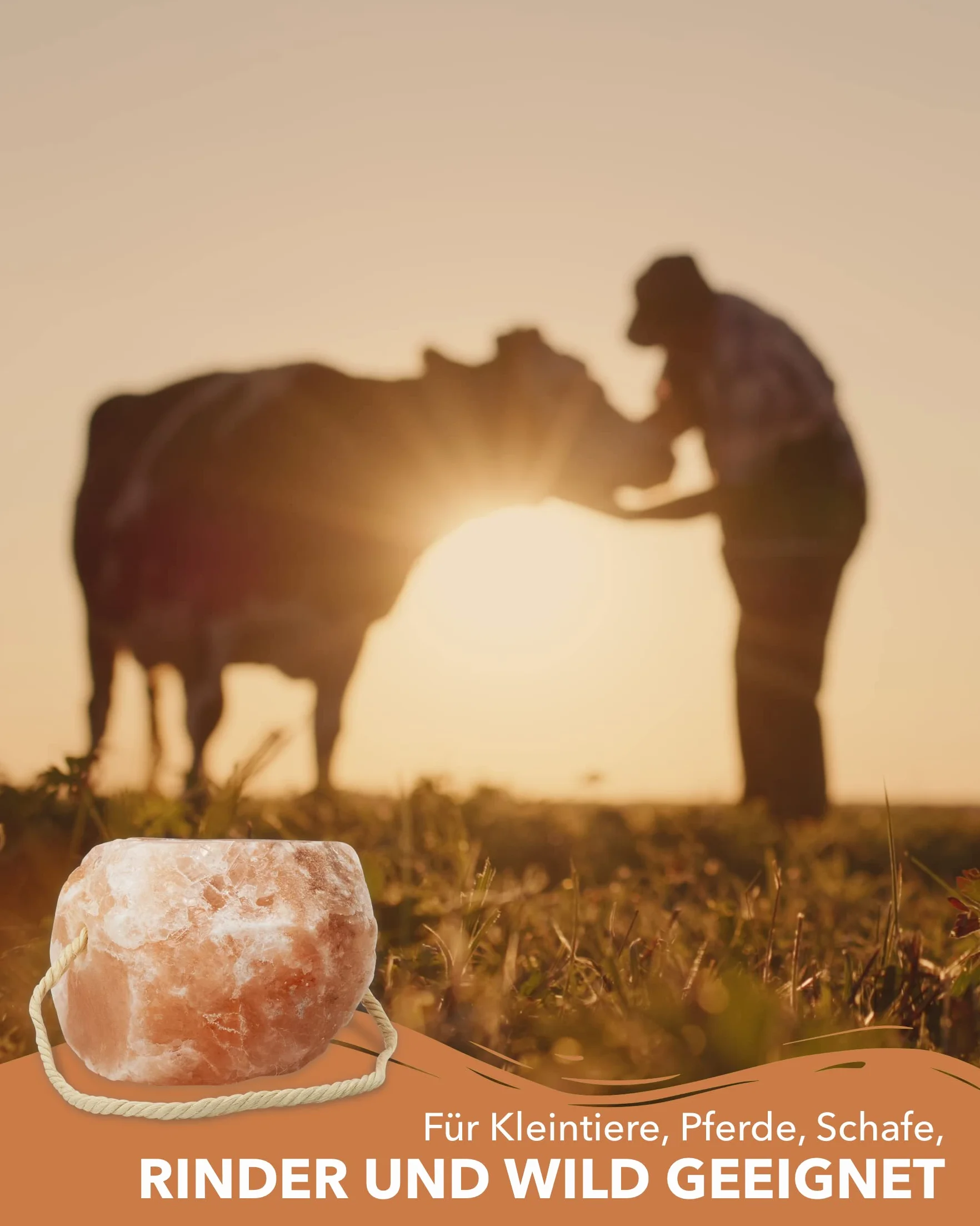 Pietra di Sale di Alta Qualità 'Cristallo di Rocca' Con Cordoncino - 4,7-5,3 kg - Per Cavalli, Pecore, Bovini, Selvaggina - Sale Bestiame, Minerale