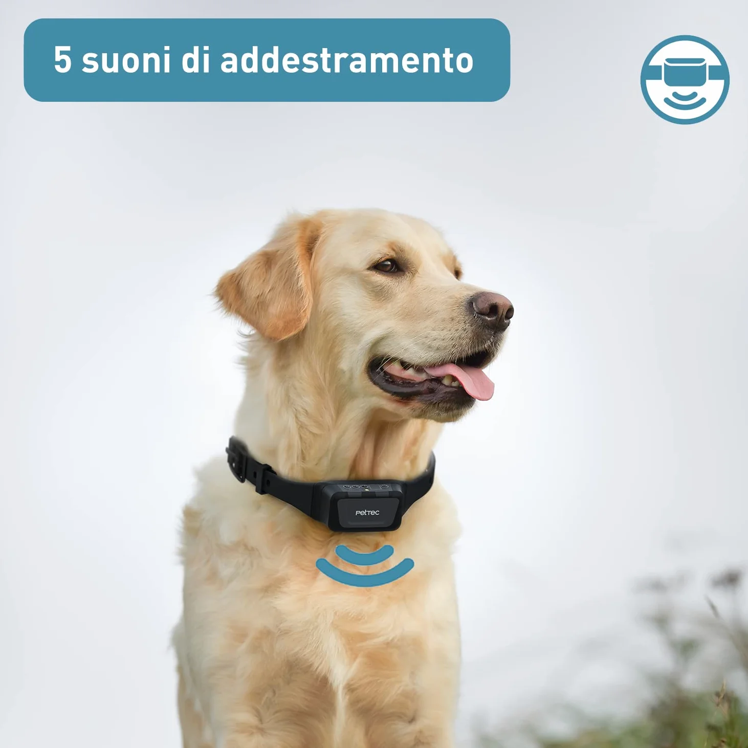 PetTec Collare da Addestramento per Cani con Spray, Portata fino a 600m - Collare a Spray con Telecomando - Impermeabile, Spray Innocuo, Intensità Regolabile - Dispositivo Sicuro per i Cani