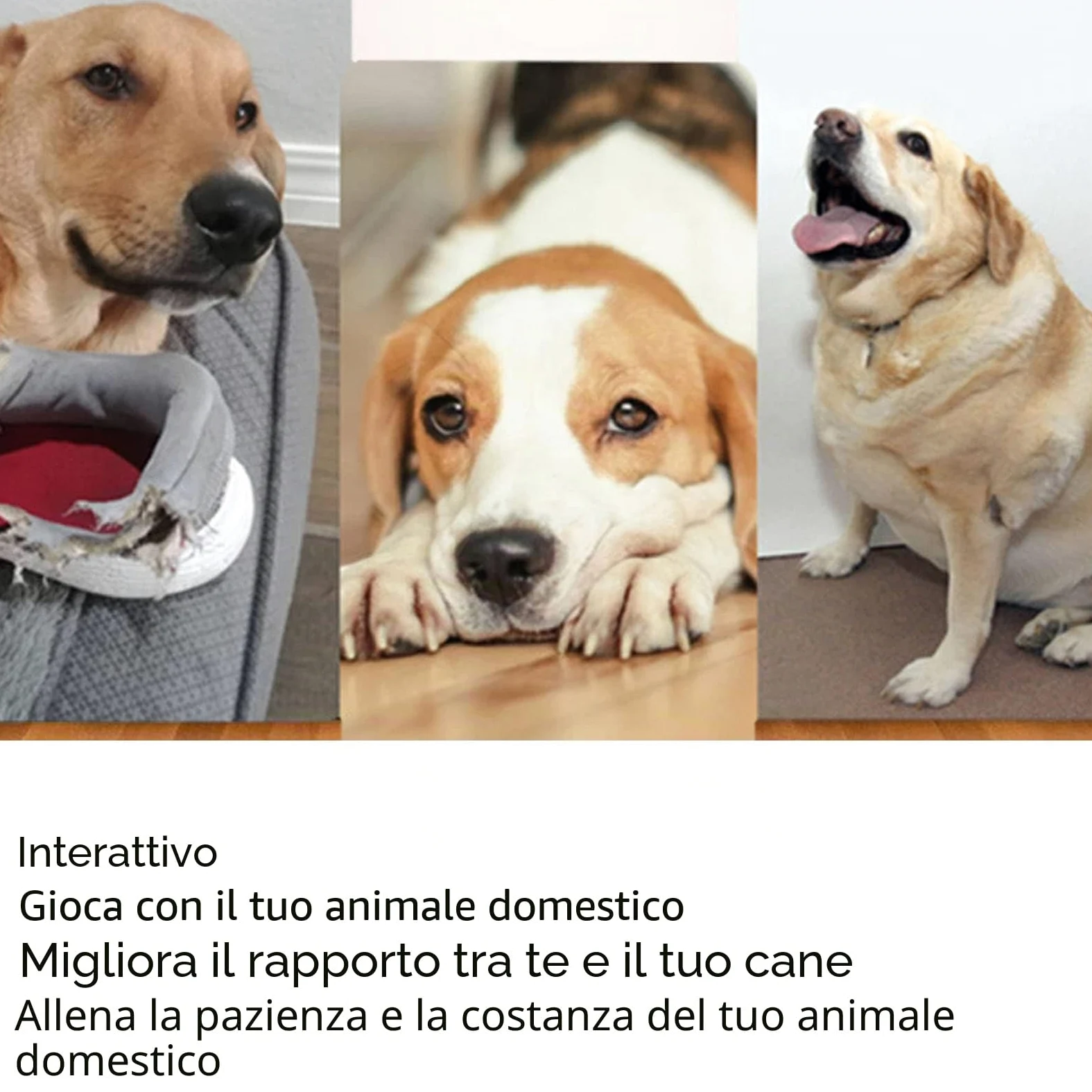 Lanciatore Automatico di Palline per Cani Lanciatore Interattivo di Palline per Animali Domestici Ricaricabile in 3 modalità per Interni Ed Esterni Verde