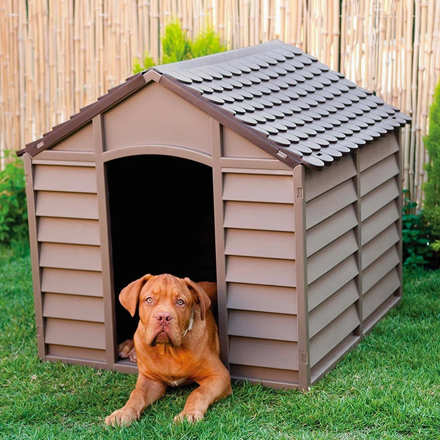 Gardiun - Cuccia per Cane