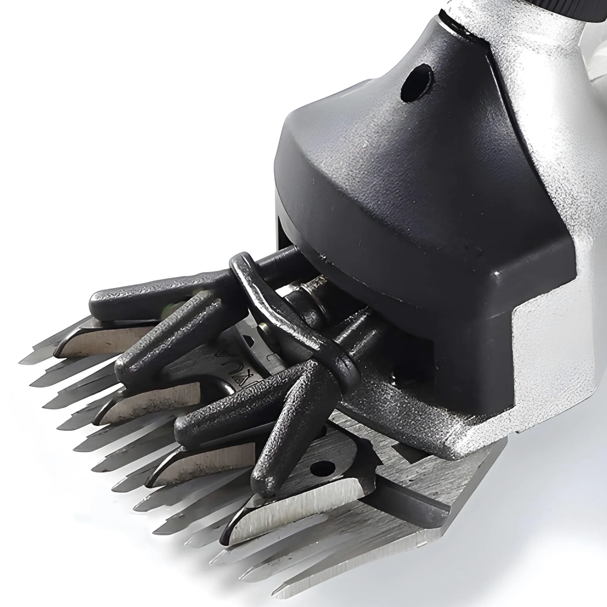 Tosapecore Tosatrice Elettrica Professionale per Pecore Capre Lama Alpaca con Motore 550W Regolabile 6 Velocità Valigetta e Accessori Inclusi