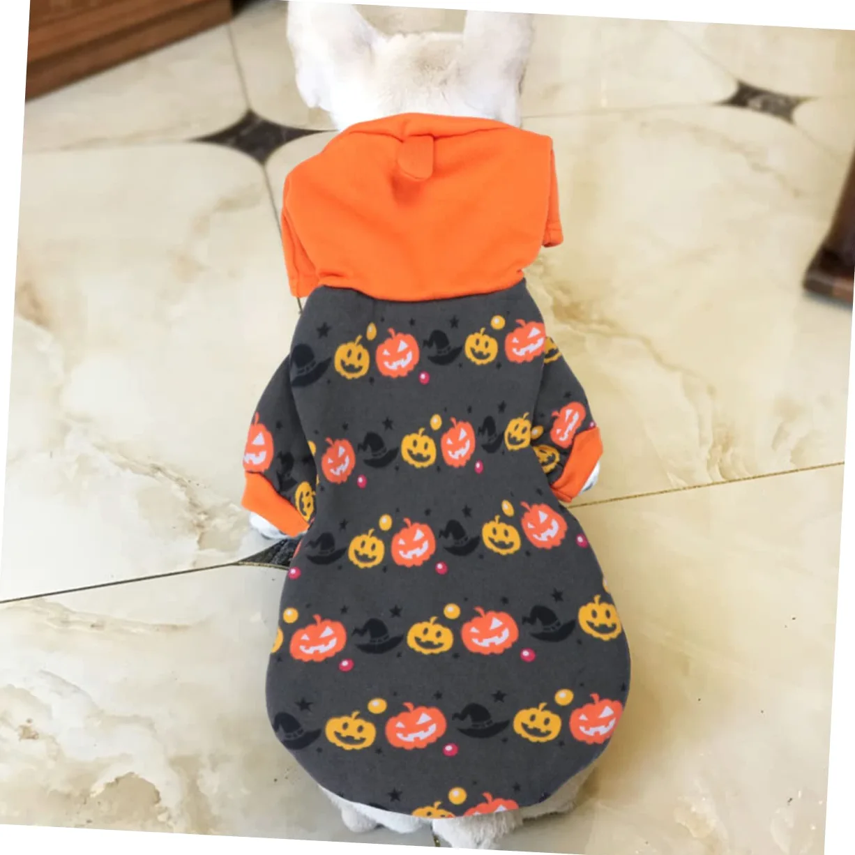HMJGDHX 2 Pezzi Cappotto per Abbigliamento per Costumi per Animali Domestici per Halloween Cosplay Vestiti di Zucca per Cani Orecchie per Cani per Giacca per Cuccioli