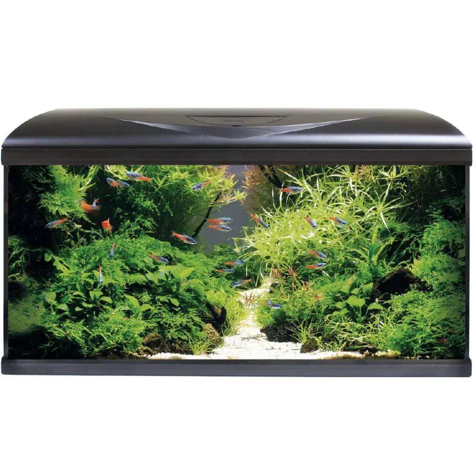 Amtra Acquario System Tank V2 - Acquario completo in vetro 85 Litri, Luce Led 11 Watt e Pompa Filtro inclusi, acqua dolce o salata, Nero, 80x32x48 CM