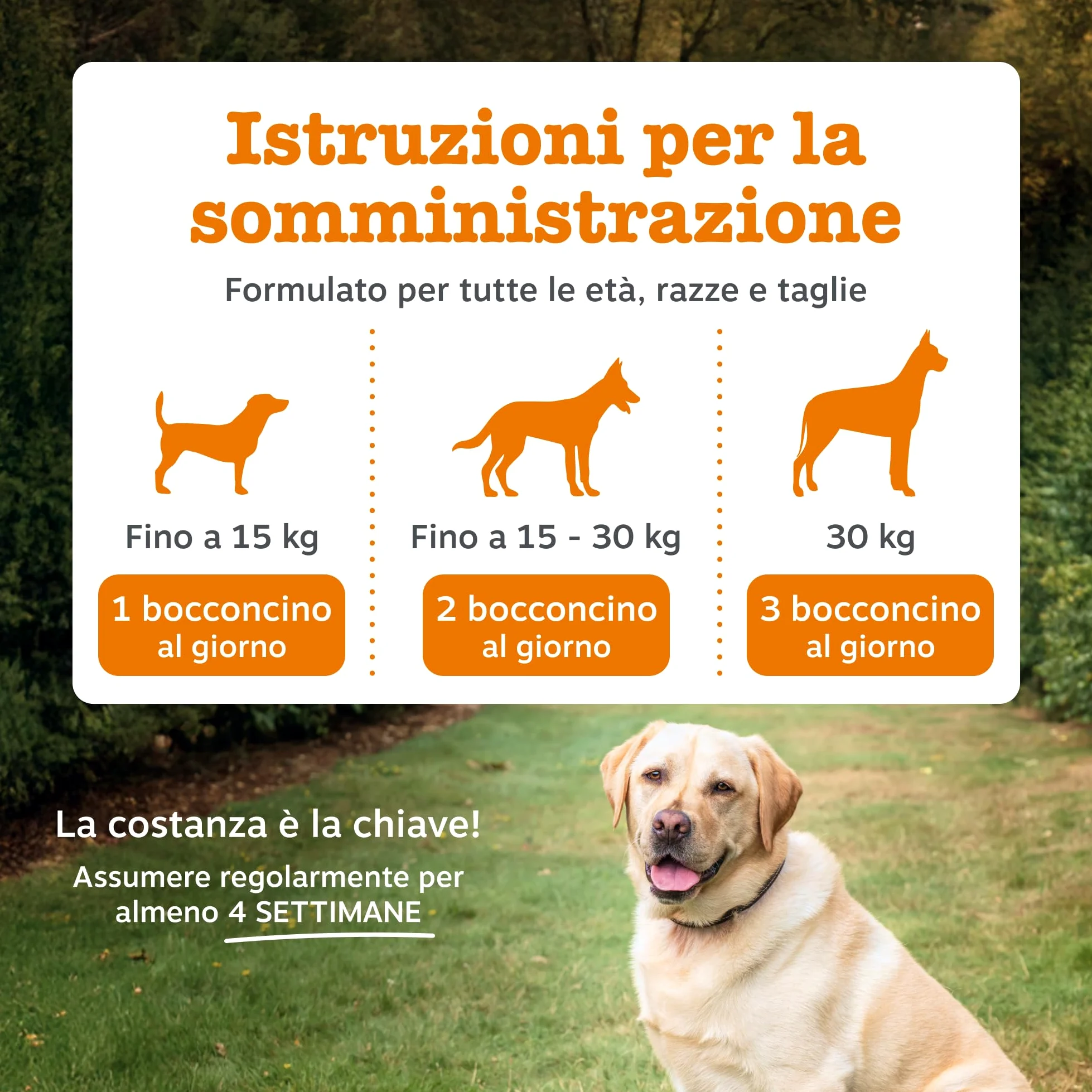 Zesty Paws 9-in-1 Senior Multivitamin – Supports Joints, Vision, Heart and Cognitive Function – Immune System and Urinary Tract Support – With Biotin and Vitamins A, B 3, B5, B6, B9, C – 90 Bocconcini