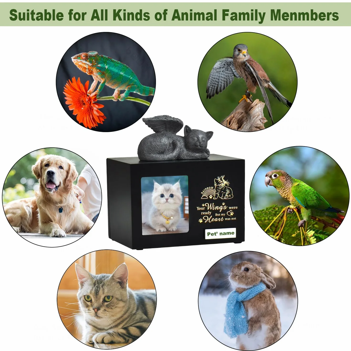 Urne per gatti personalizzate di woodurn in legno nero con foto, scatola per ceneri di animali domestici con capacità di 175 pollici cubi
