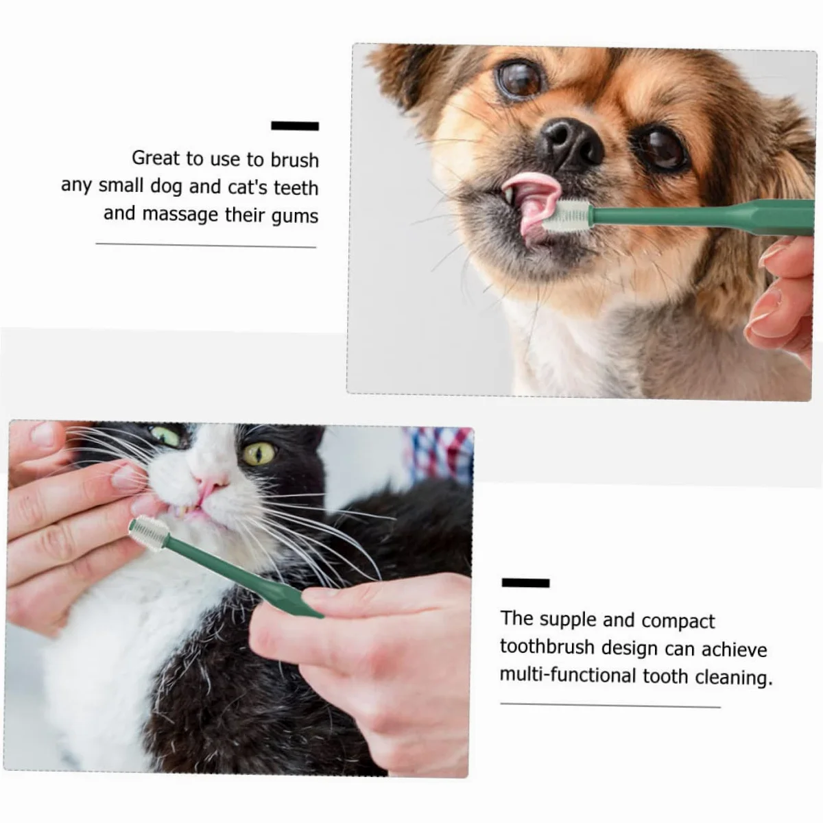 BESPORTBLE 12pezzi Spazzolini Per Cani e Gatti Spazzolino Da Denti Plastica Con Setole Morbide Pulizia Orale Per Animali Domestici Manico Ergonomico e Antiscivolo Confezione Da Verdi