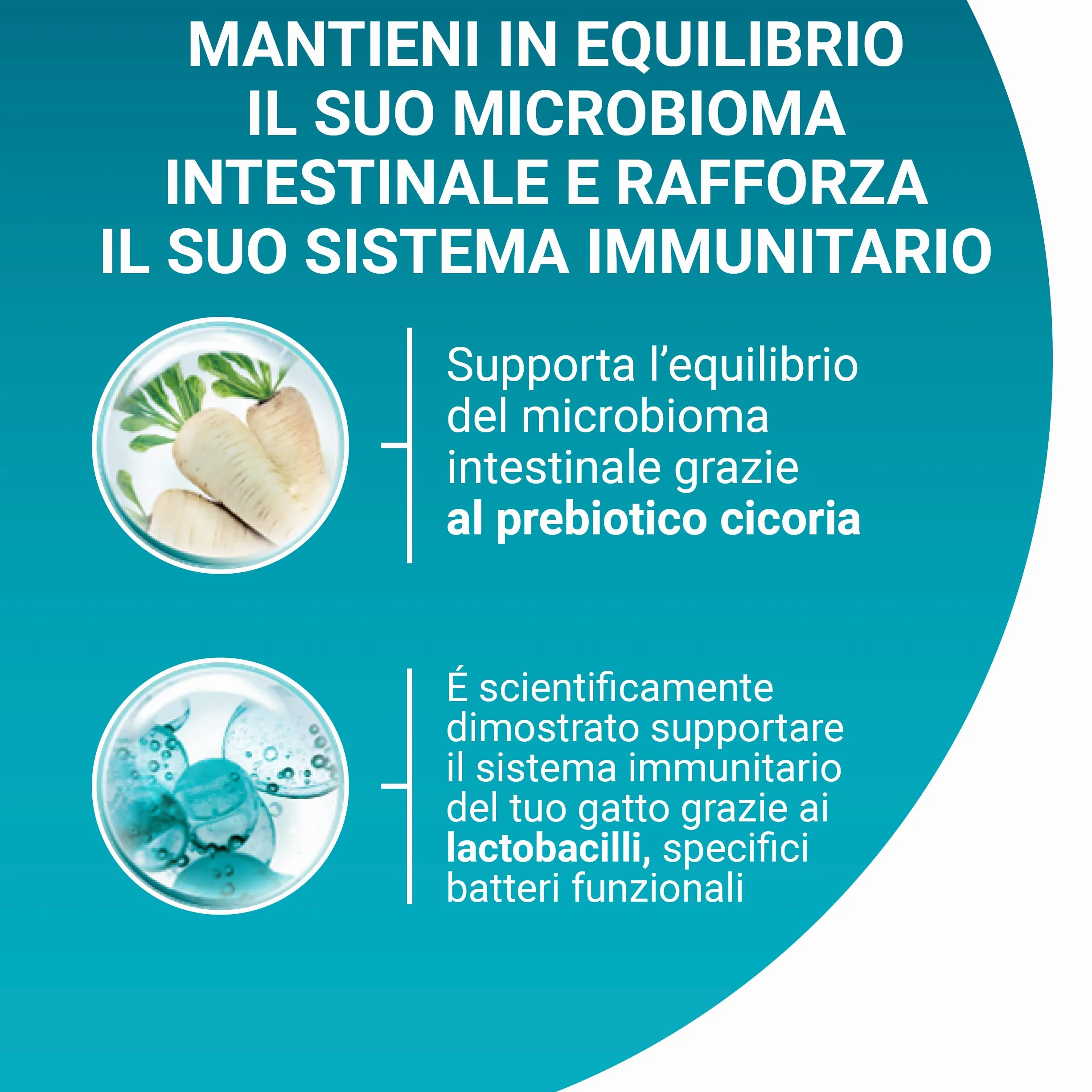 PURINA ONE Bifensis Delicate Croccantini per Gatto Adulto con Tacchino - 8 Confezioni da 800 g, Formula Nutriente per il Microbioma Intestinale e il Benessere Digestivo